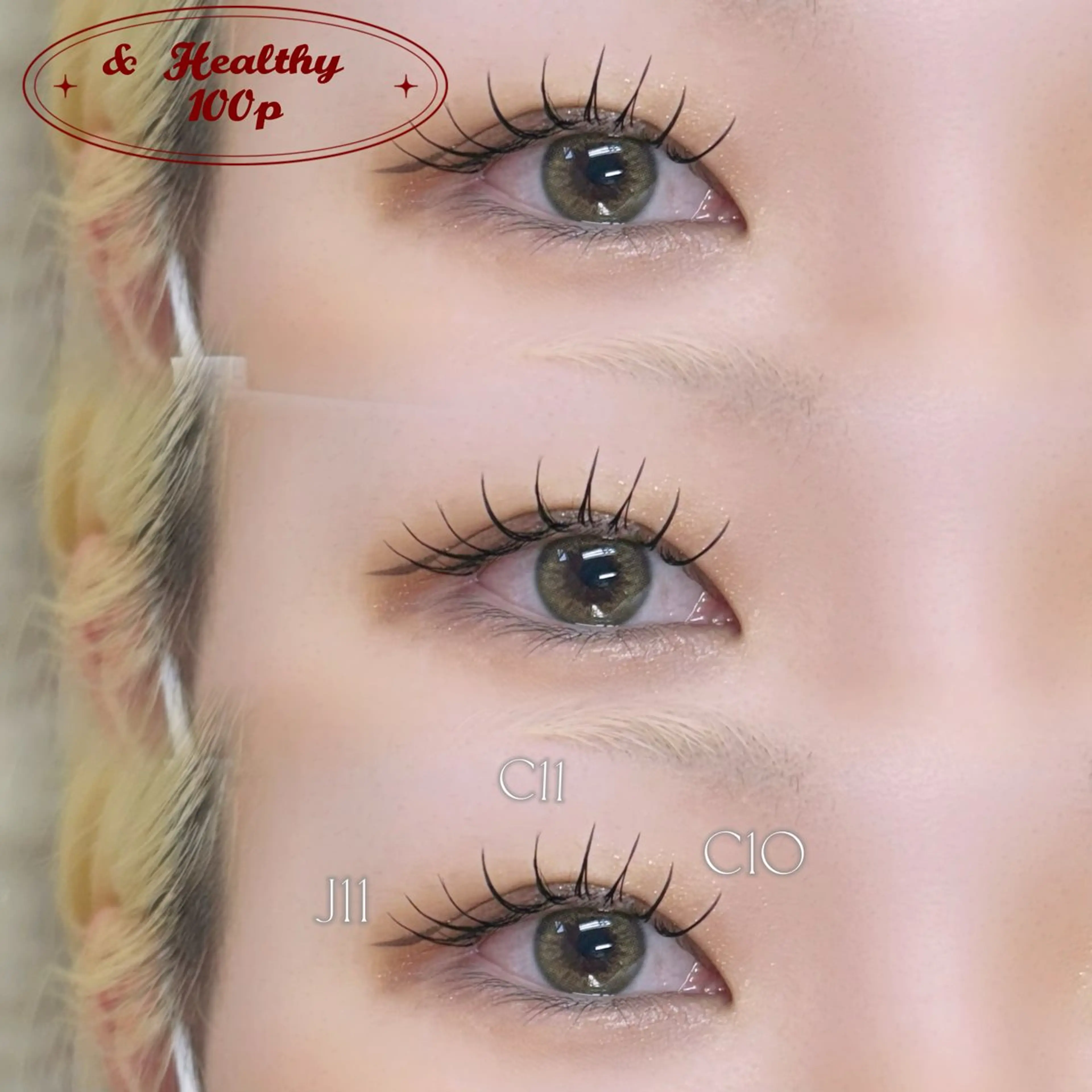 ãããšã¯ã»ããã ãããšã¯ ððªðŠðð éåœé¢š/ææ/æµæ¯å¯¿ã®ãããšã¯ã»ããããã¶ã€ã³