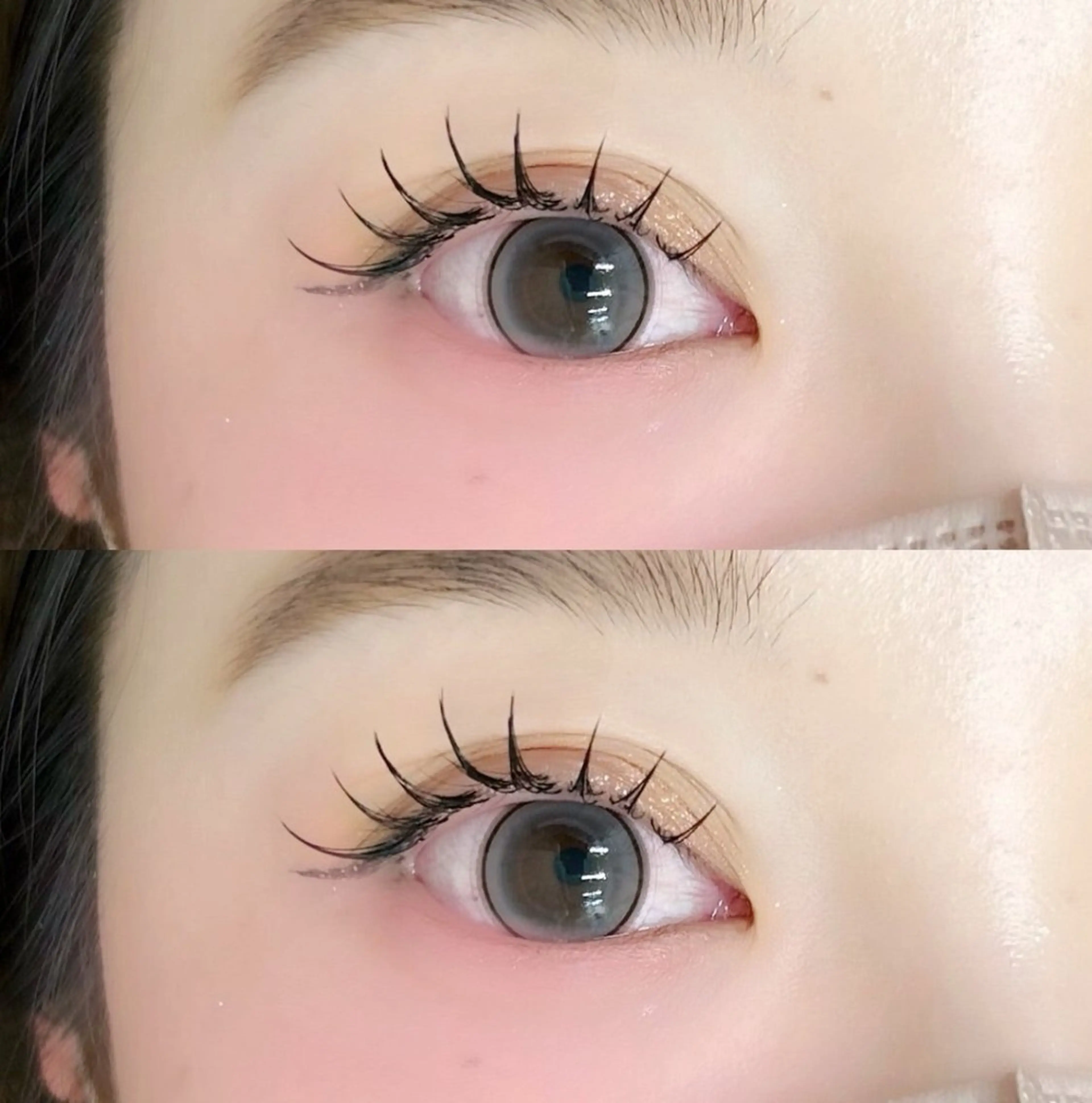 フラットラッシュ100本の写真