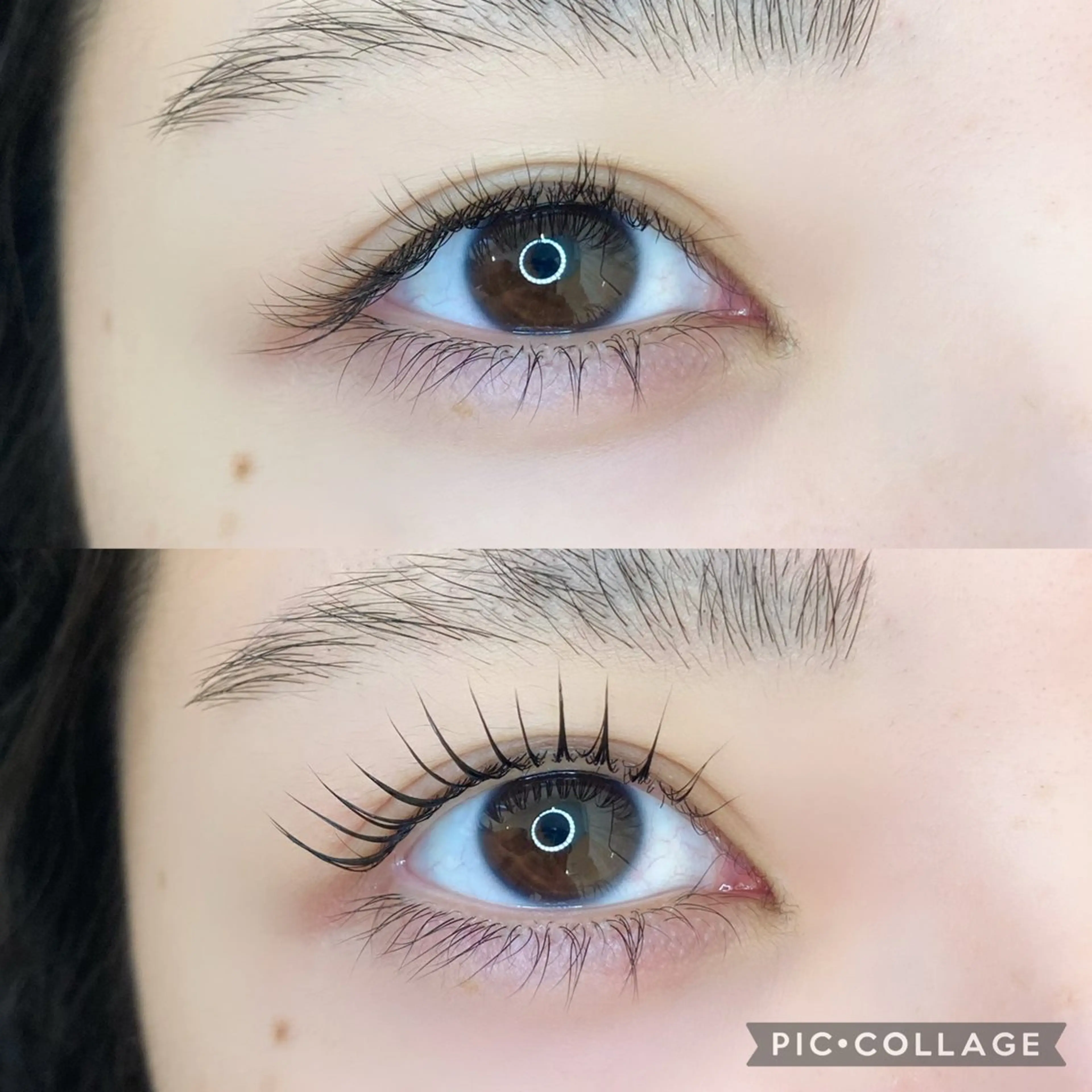 マツエク・マツパ TIARA池袋西口店 店長YASUKA💐のマツエク・マツパデザイン