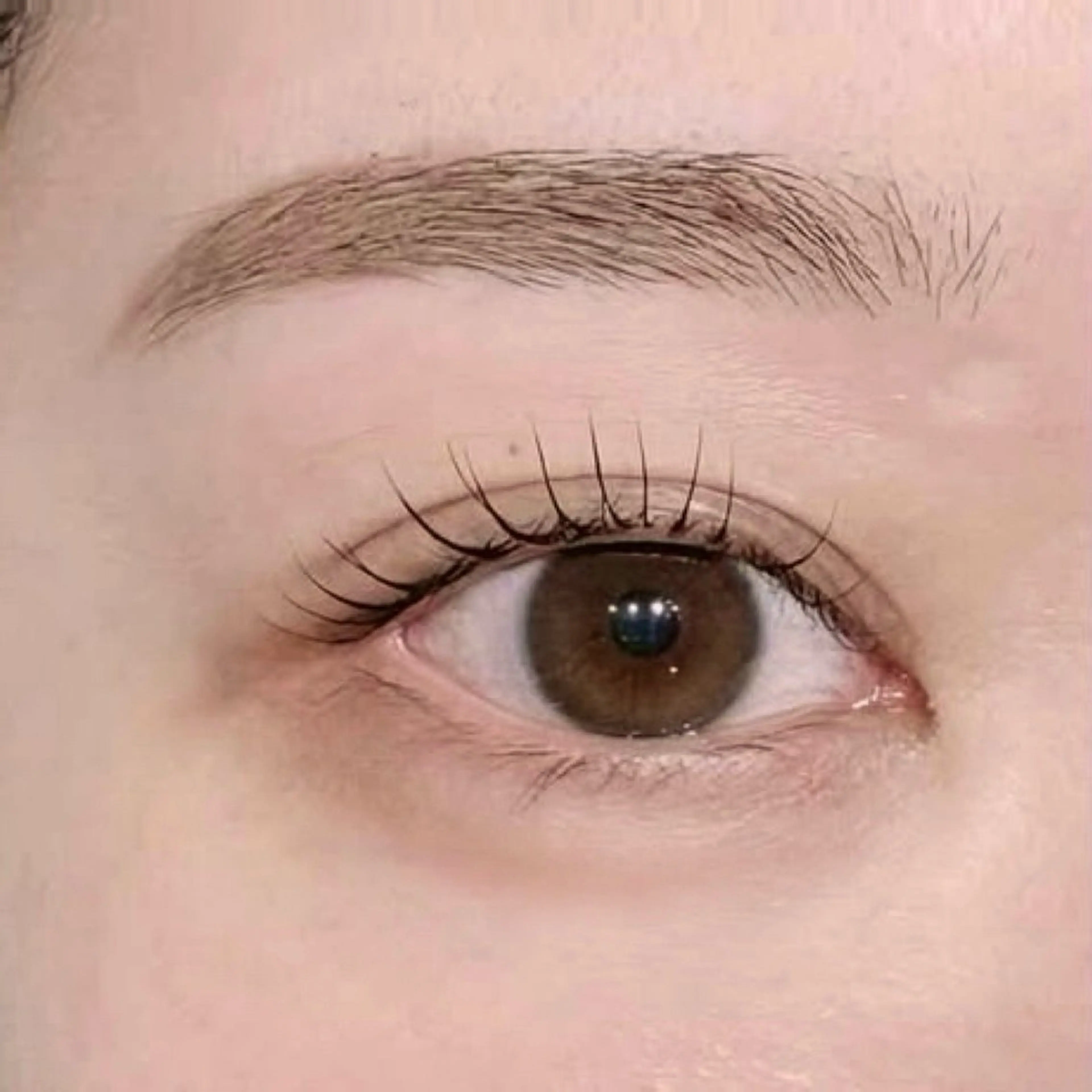 ご新規様【理想の眉、すっぴん美眉♡】ふんわり眉派の方の眉ワックスの写真