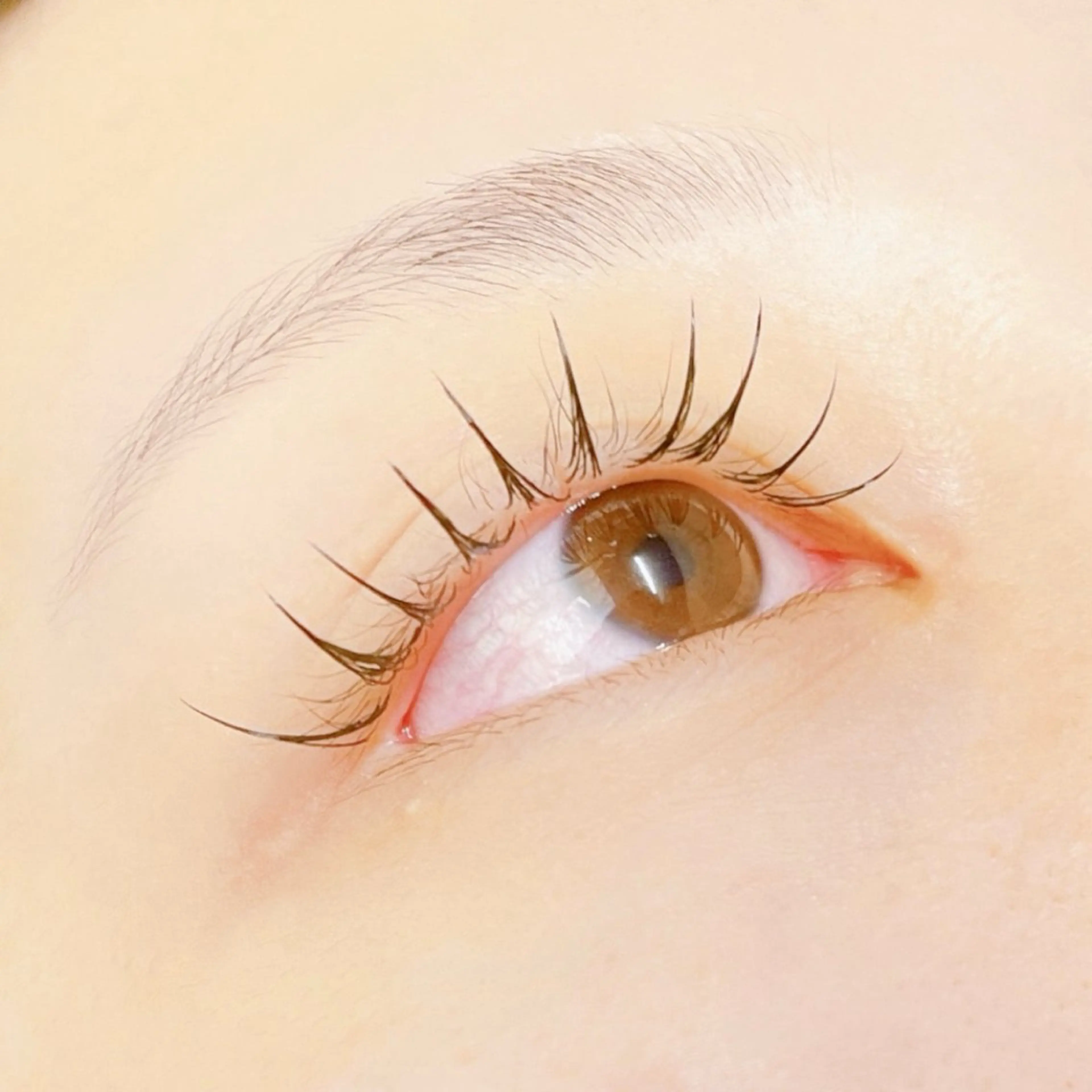 マツエク・マツパ マツパ julk eyeのマツエク・マツパデザイン