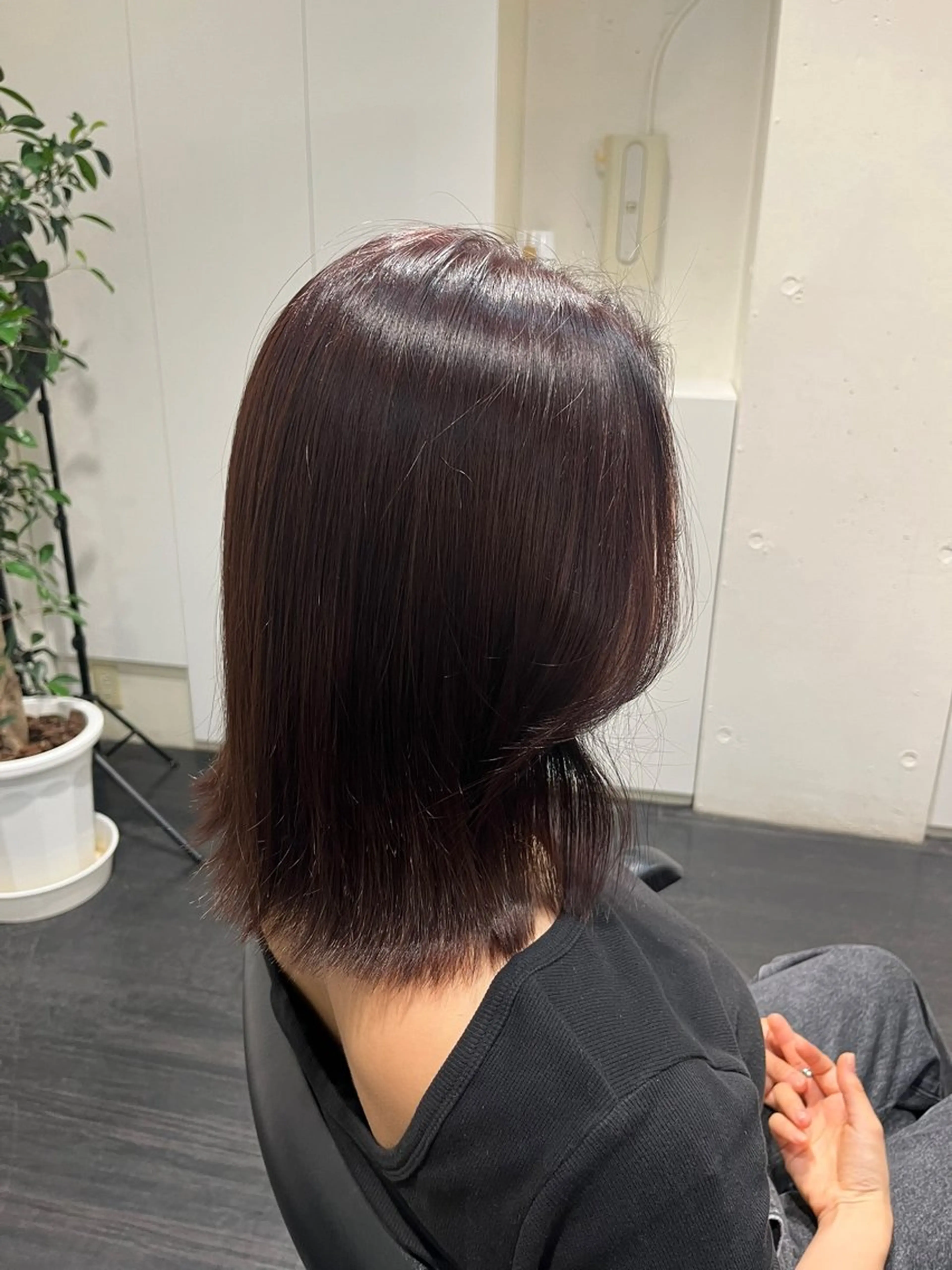 ミディアム 細田 碧のヘアスタイル