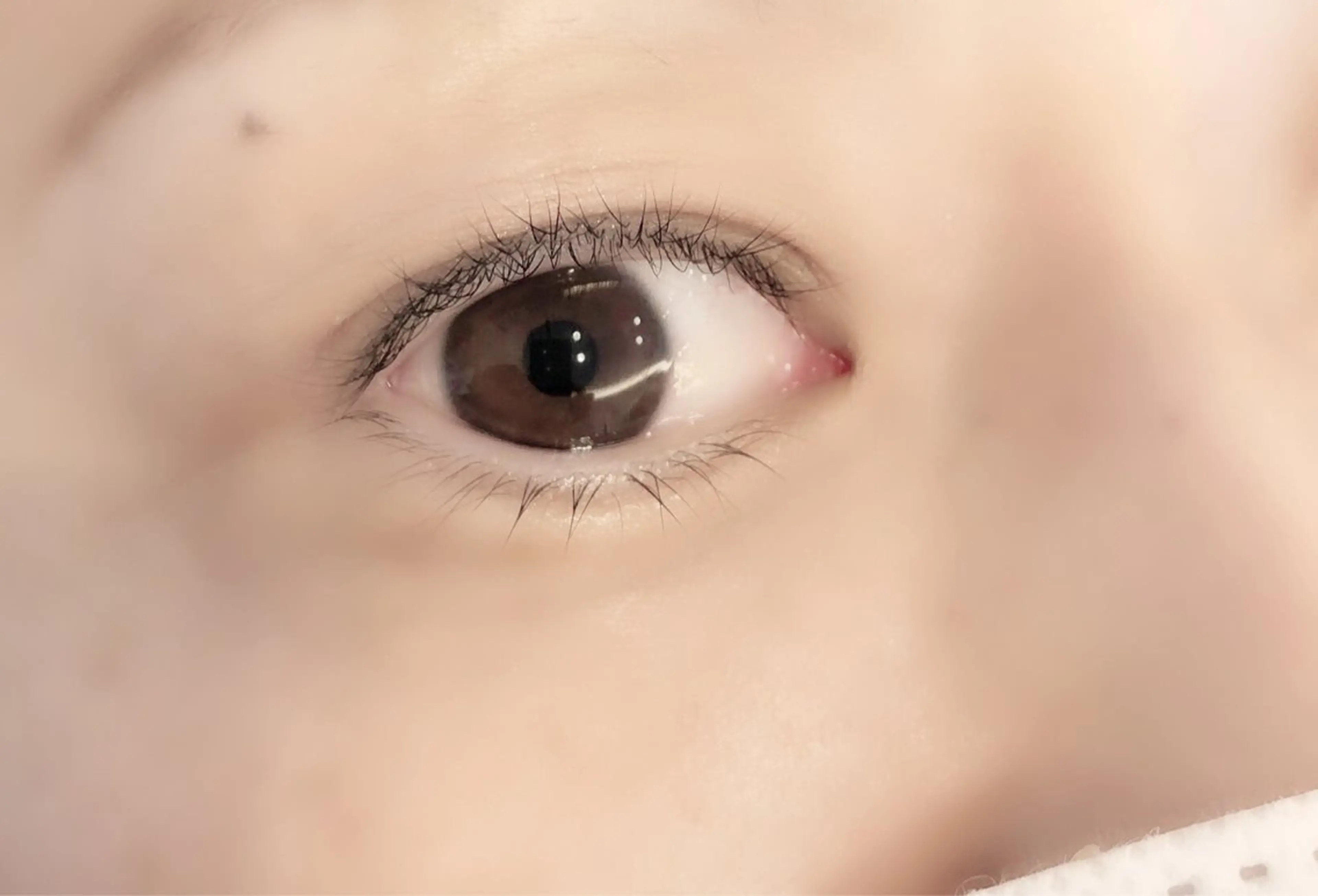 上下パリジェンヌラッシュリフトの写真