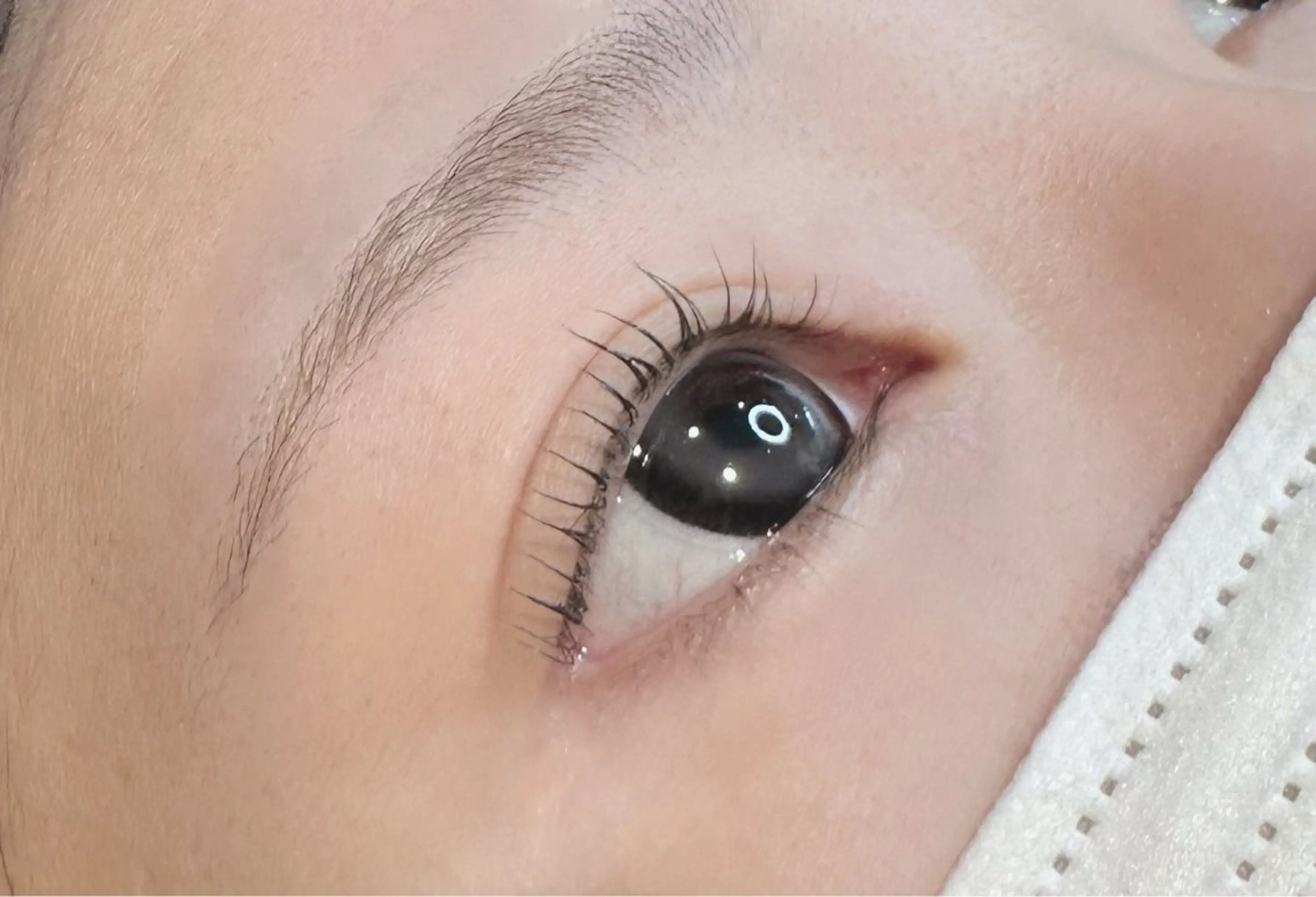 マツエク・マツパ Lカール マツパ niche  eye Natsumiのマツエク・マツパデザイン