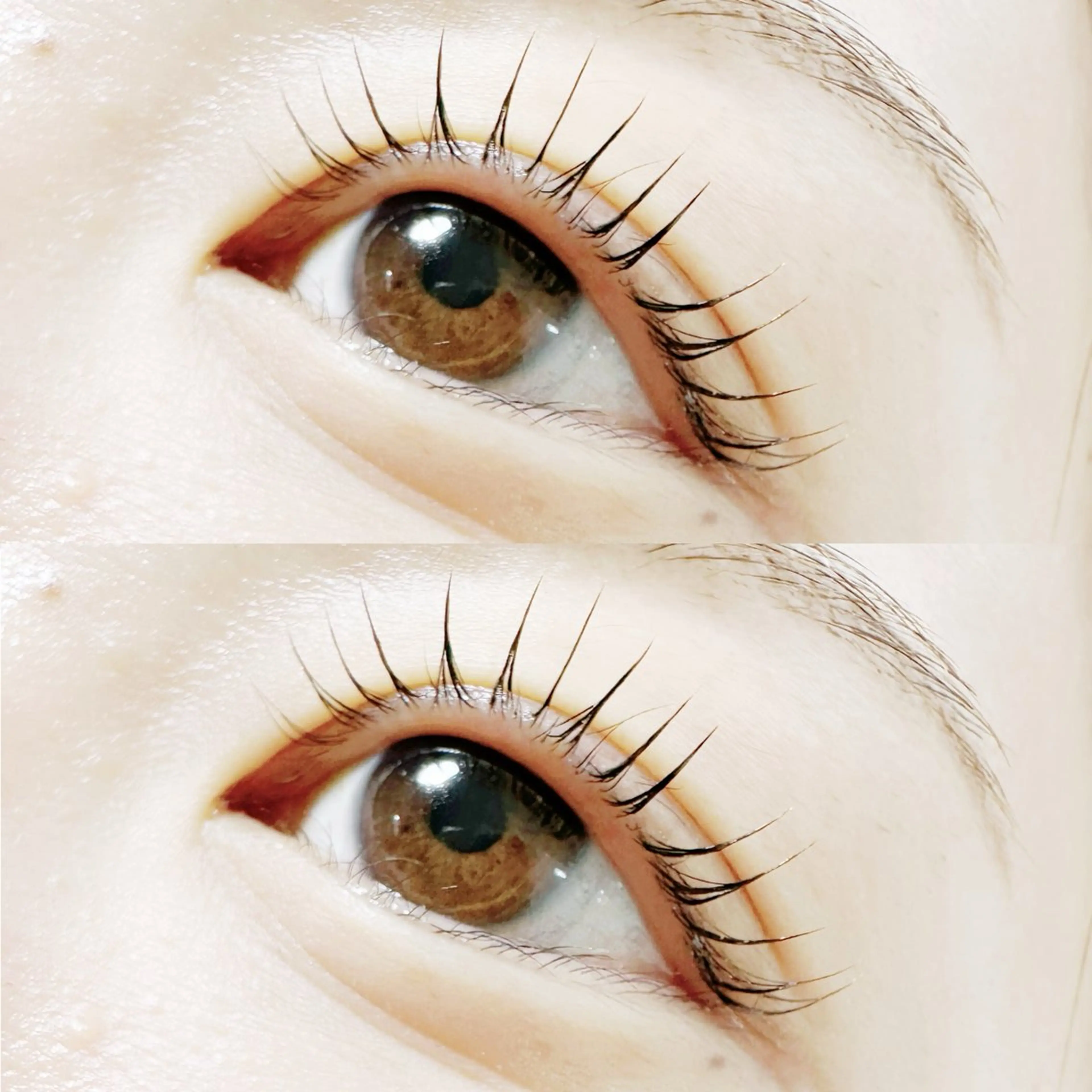 マツエク・マツパ マツパ plume eyelashのマツエク・マツパデザイン