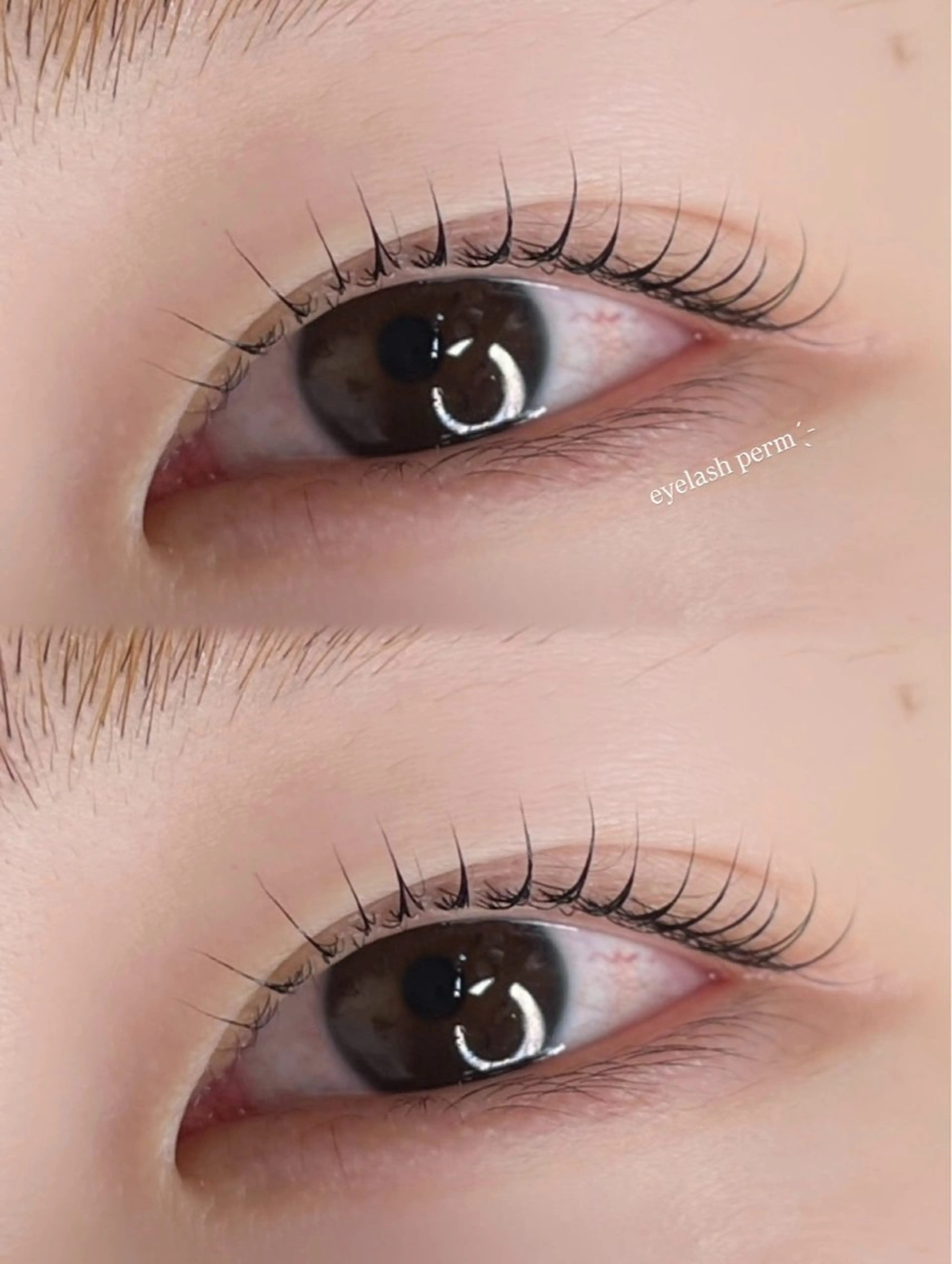 マツエク・マツパ マツパ ハロウ/ momoka🤍のマツエク・マツパデザイン