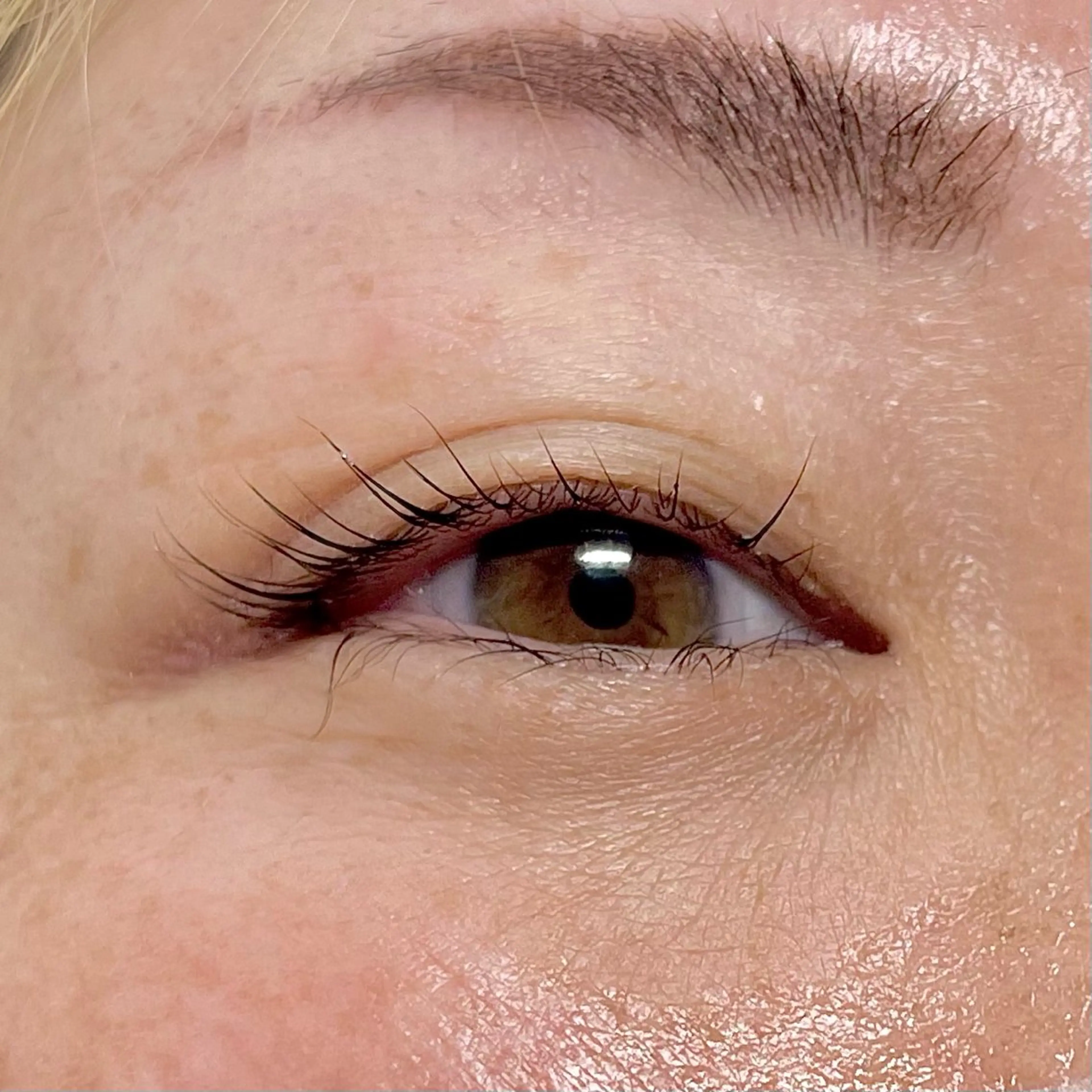 マツエク・マツパ 環那 🫧ながとも🐚🫧の眉毛・アイブロウイメージ