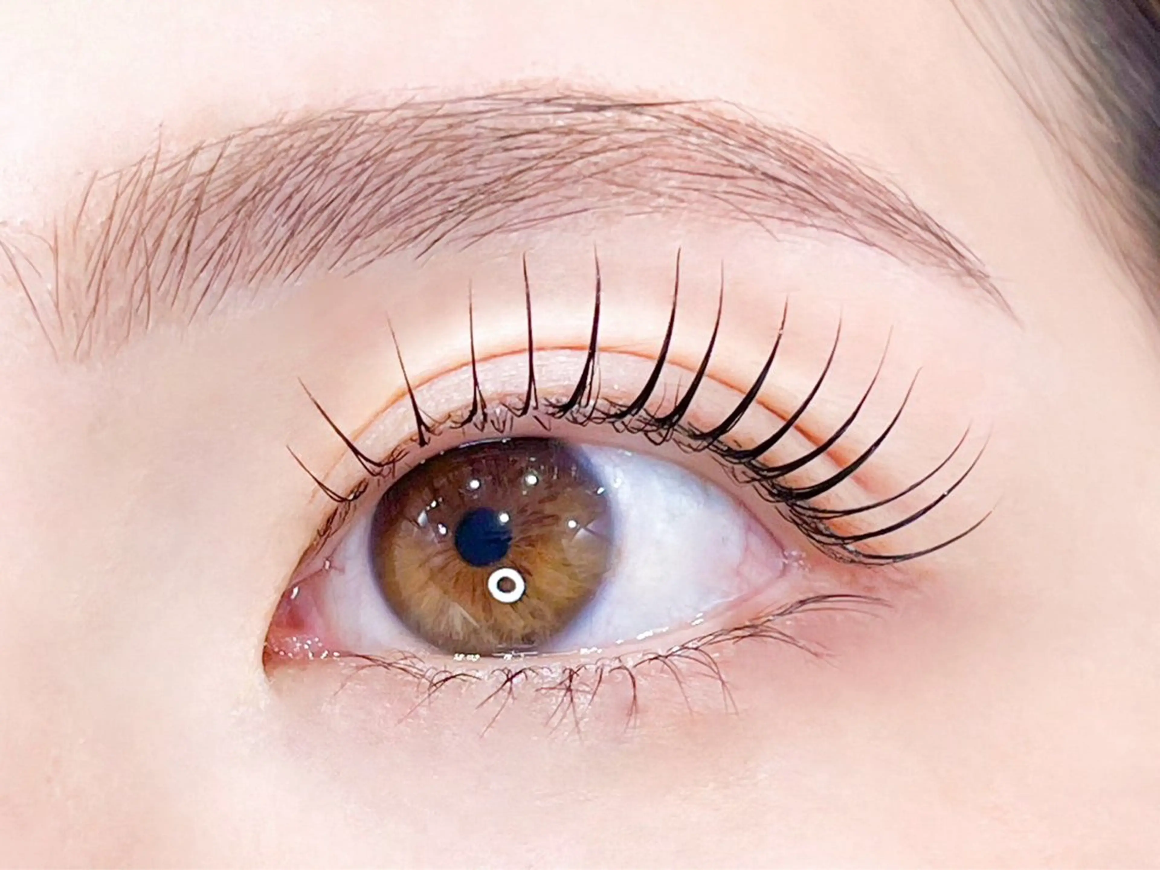 マツエク・マツパ 【メンズ眉毛サロン】 SENSE 大宮の眉毛・アイブロウイメージ