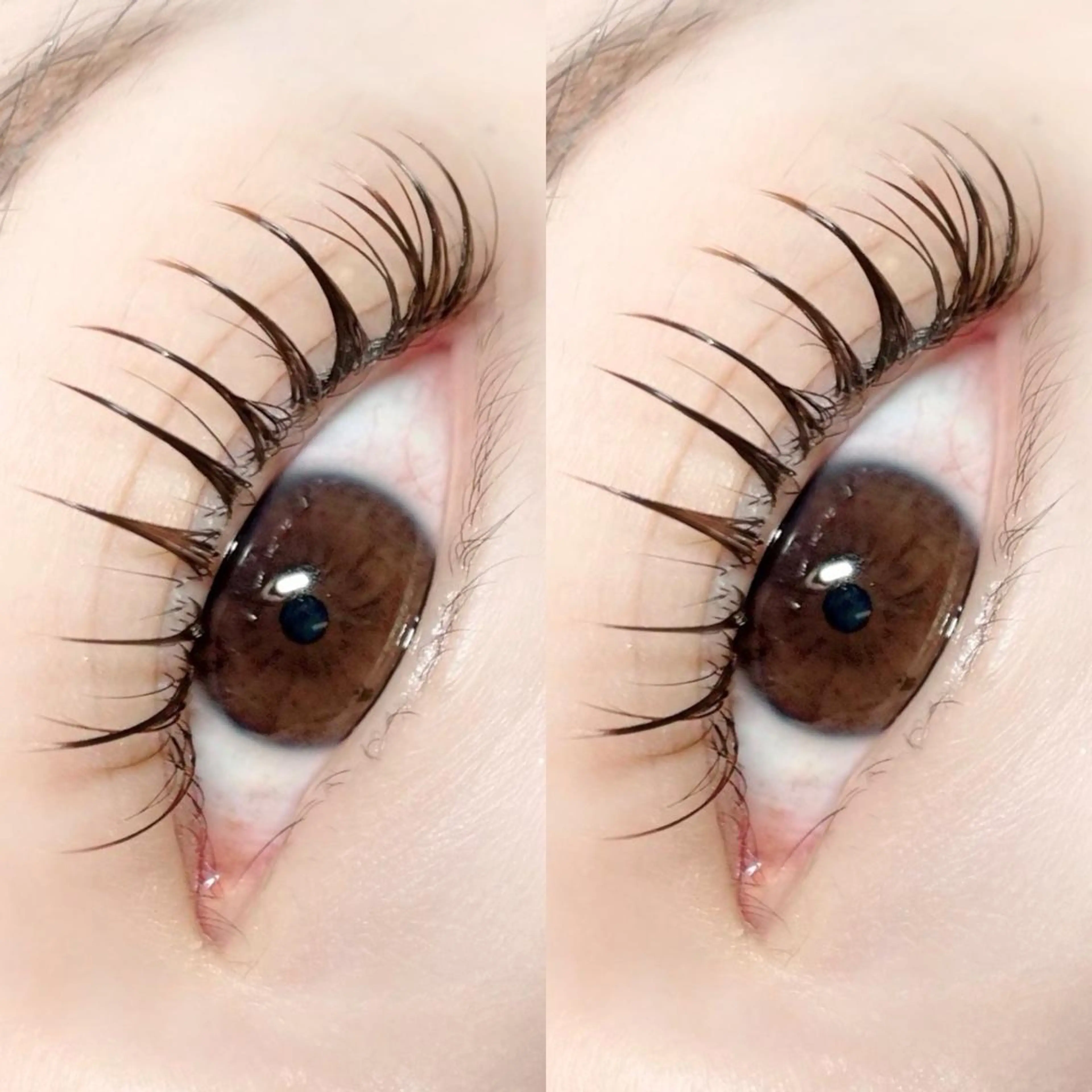 マツエク・マツパ パリジェンヌラッシュリフト パリエクまつげパーマ /LED/中谷のマツエク・マツパデザイン