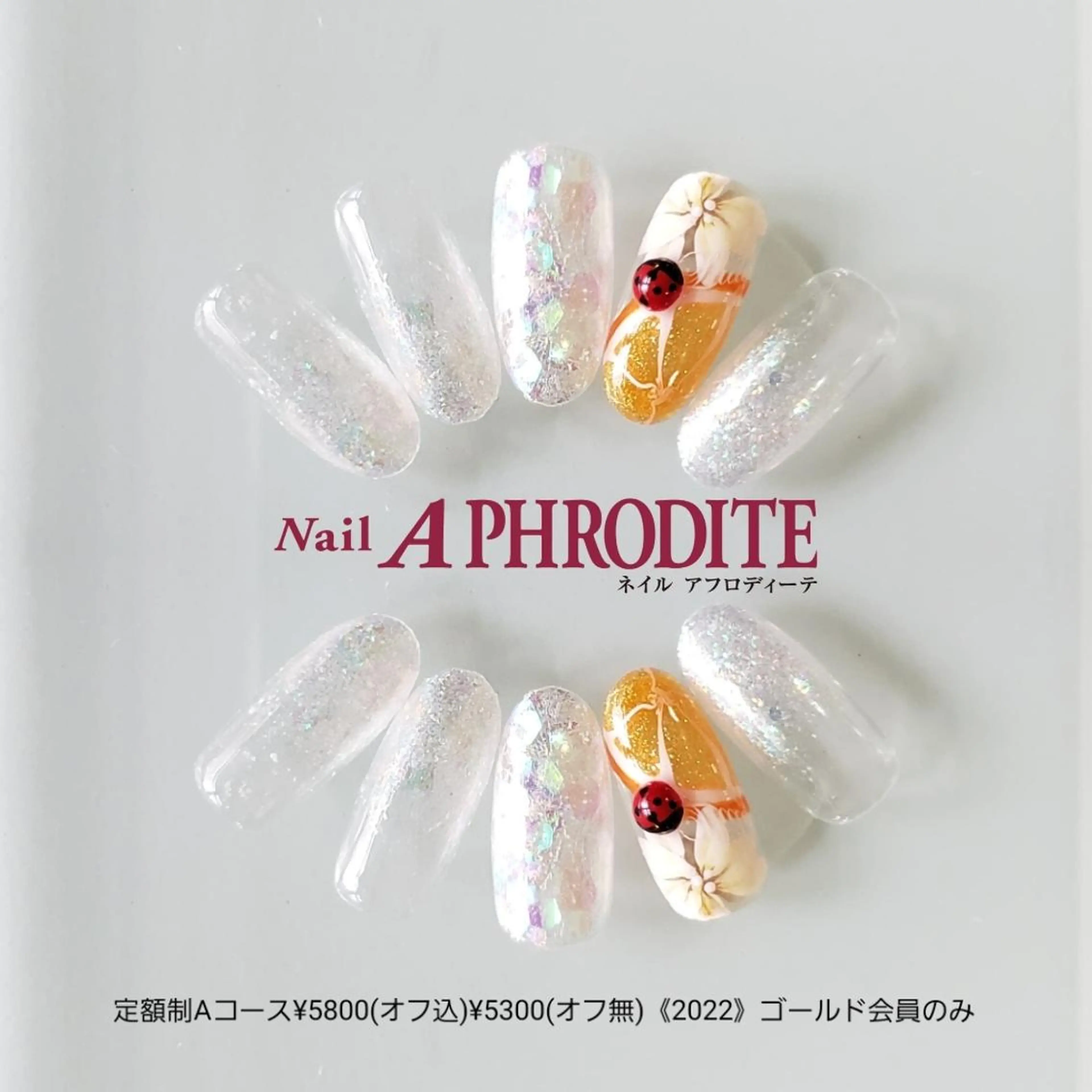 ネイル アートネイル ジェルネイル 持ち込み ソフトジェル ハンドネイル Nail  Aphroditeのネイルデザイン