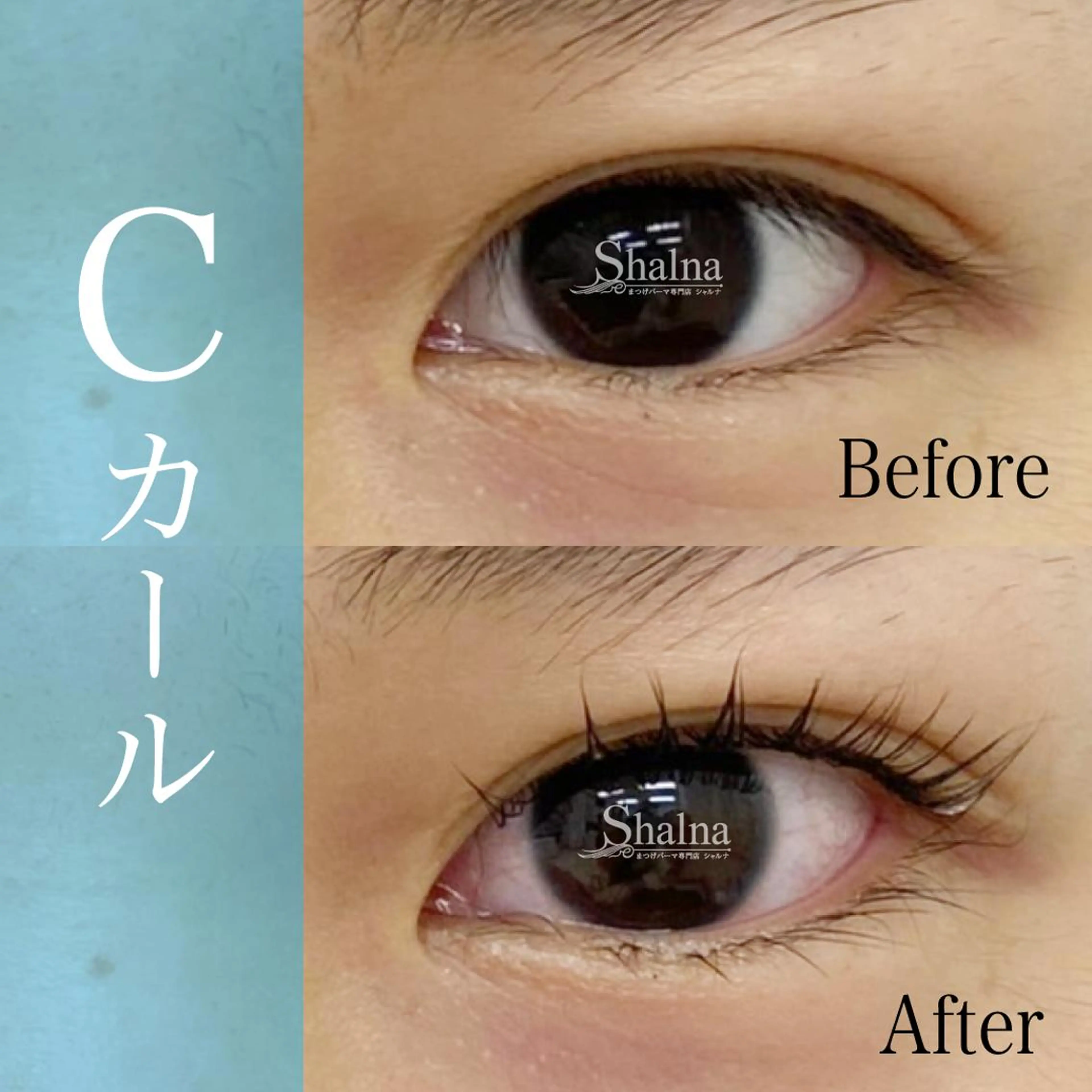 マツエク・マツパ Cカール ナチュラル まつげパーマ まつげパーマ専門店 シャルナ　柏店のマツエク・マツパデザイン