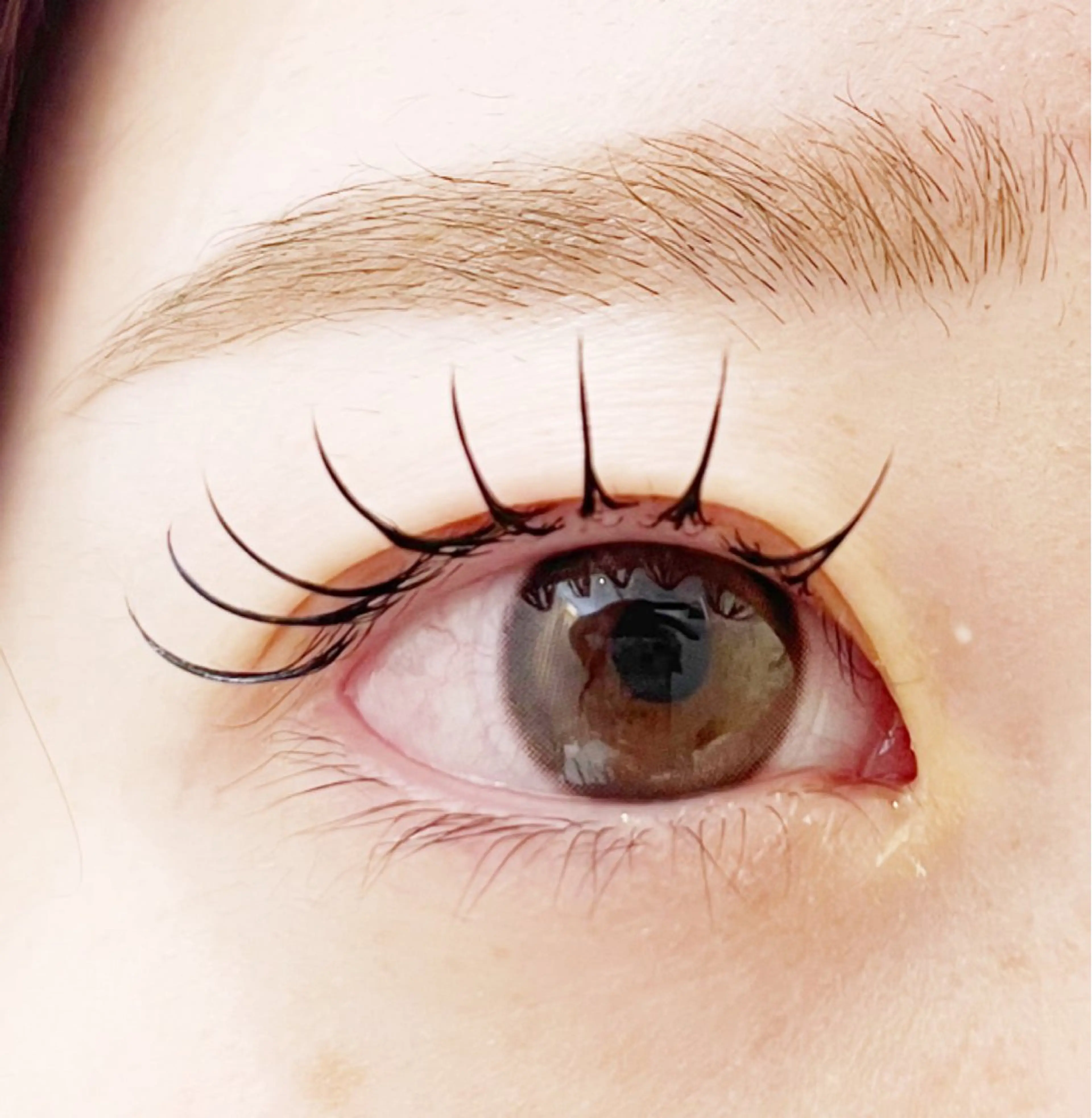 マツエク・マツパ ECHIRE 高橋のマツエク・マツパデザイン