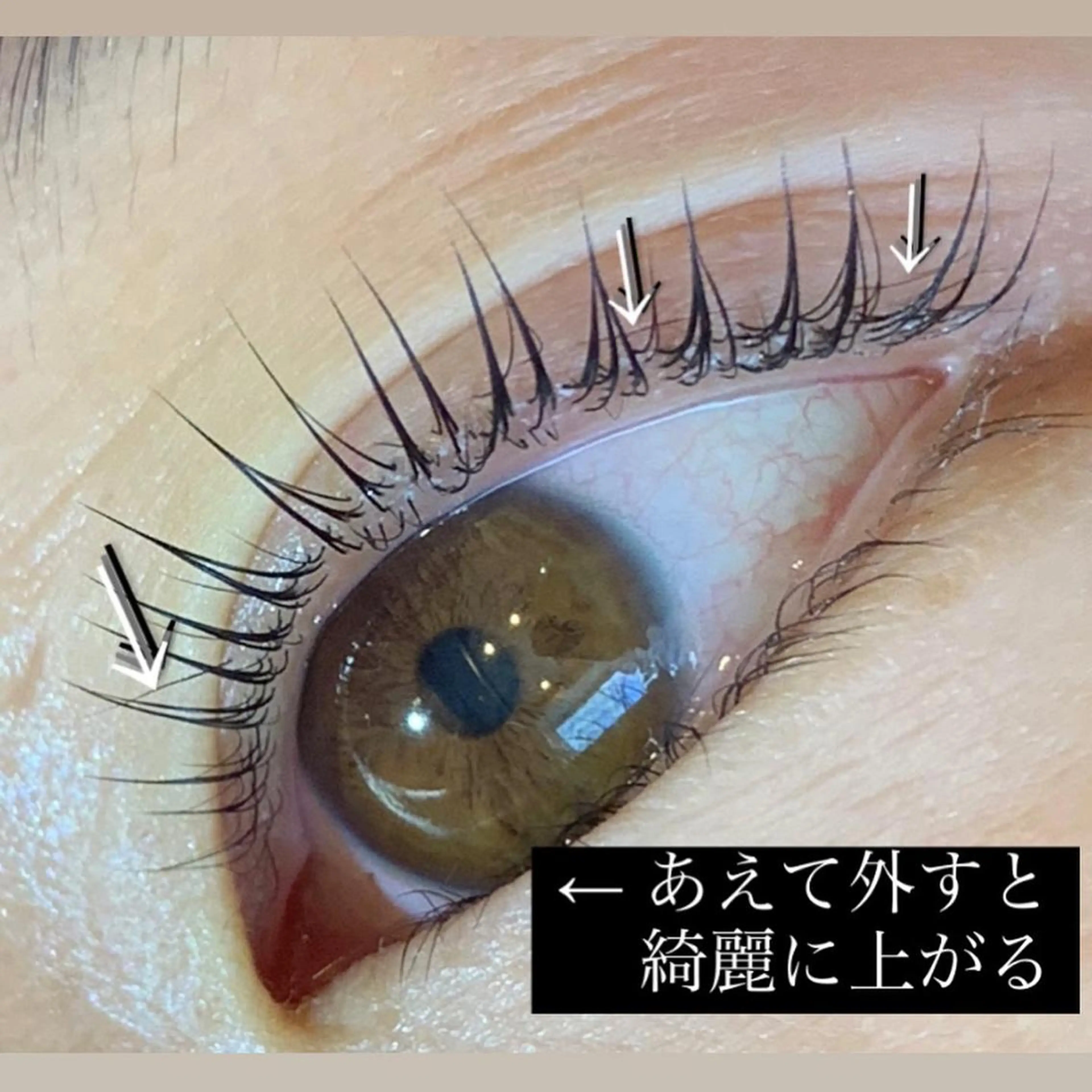 マツエク・マツパ ミンク まつげパーマ セーブル 一重×まつ毛パーマ 🦎kahala なや🦎のマツエク・マツパデザイン