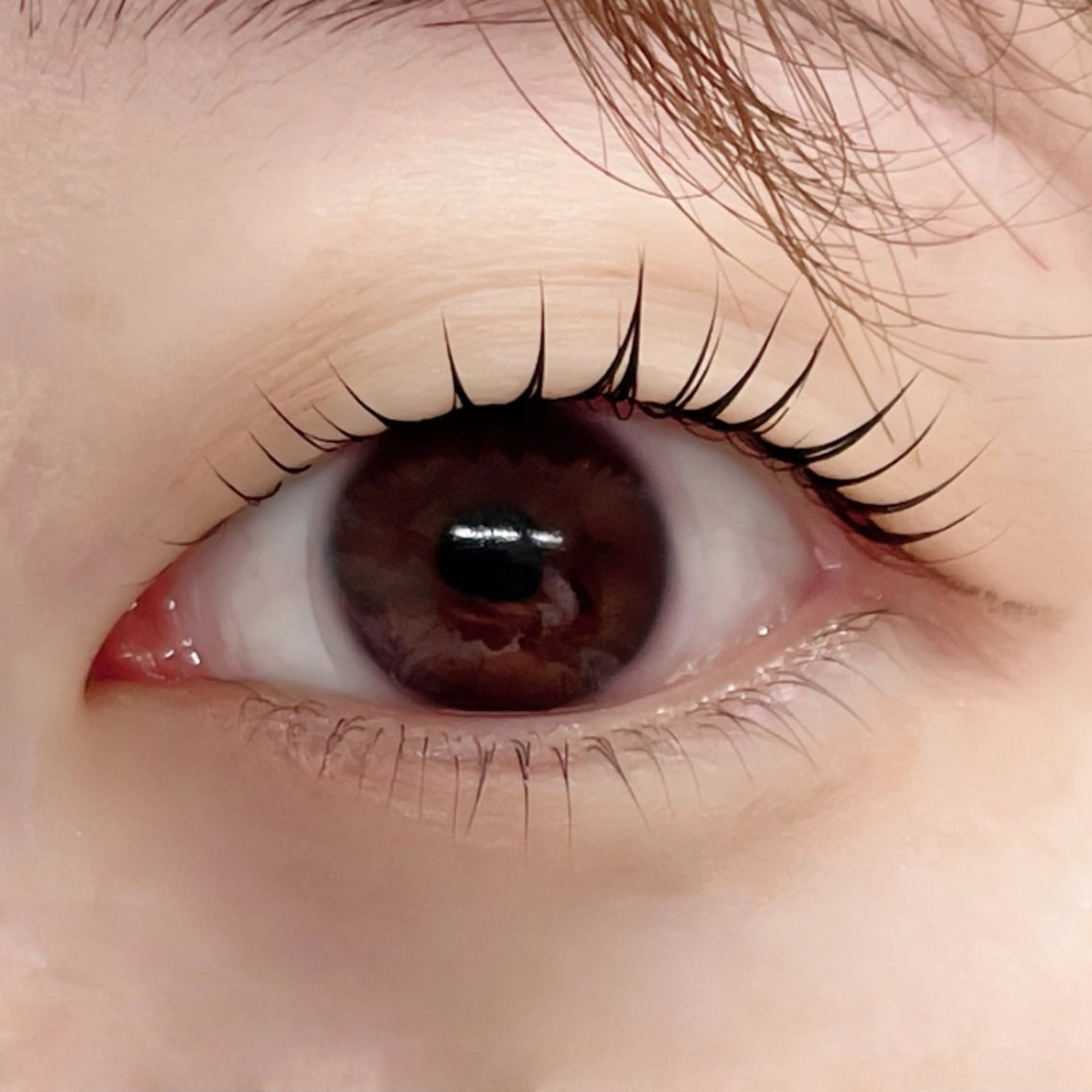 マツエク・マツパ マツパ GO TODAY シェアサロン 銀座Eclara店所属・mihiro 🐈⬛の眉毛・アイブロウイメージ