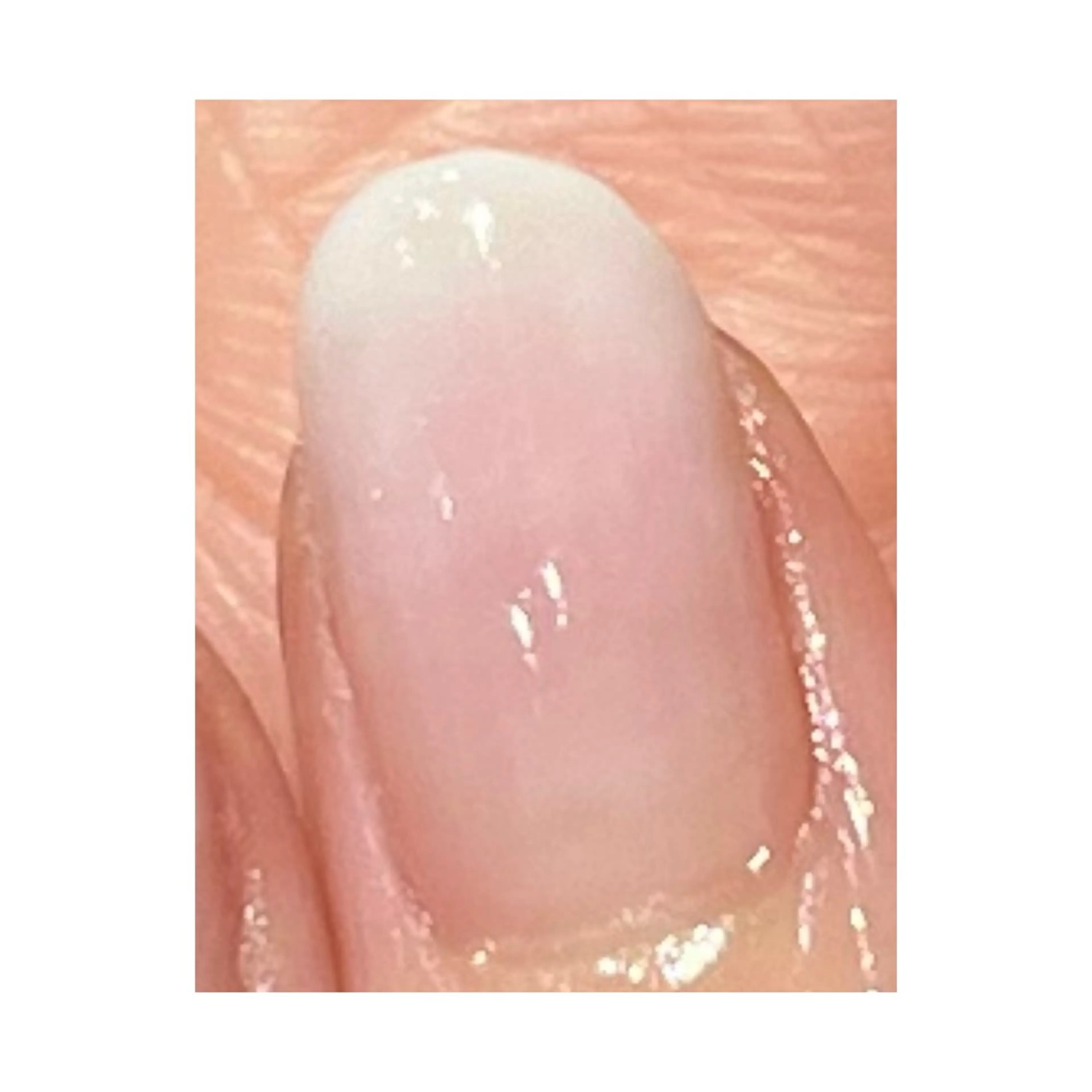 オフ有：白グラデーションカラーの写真