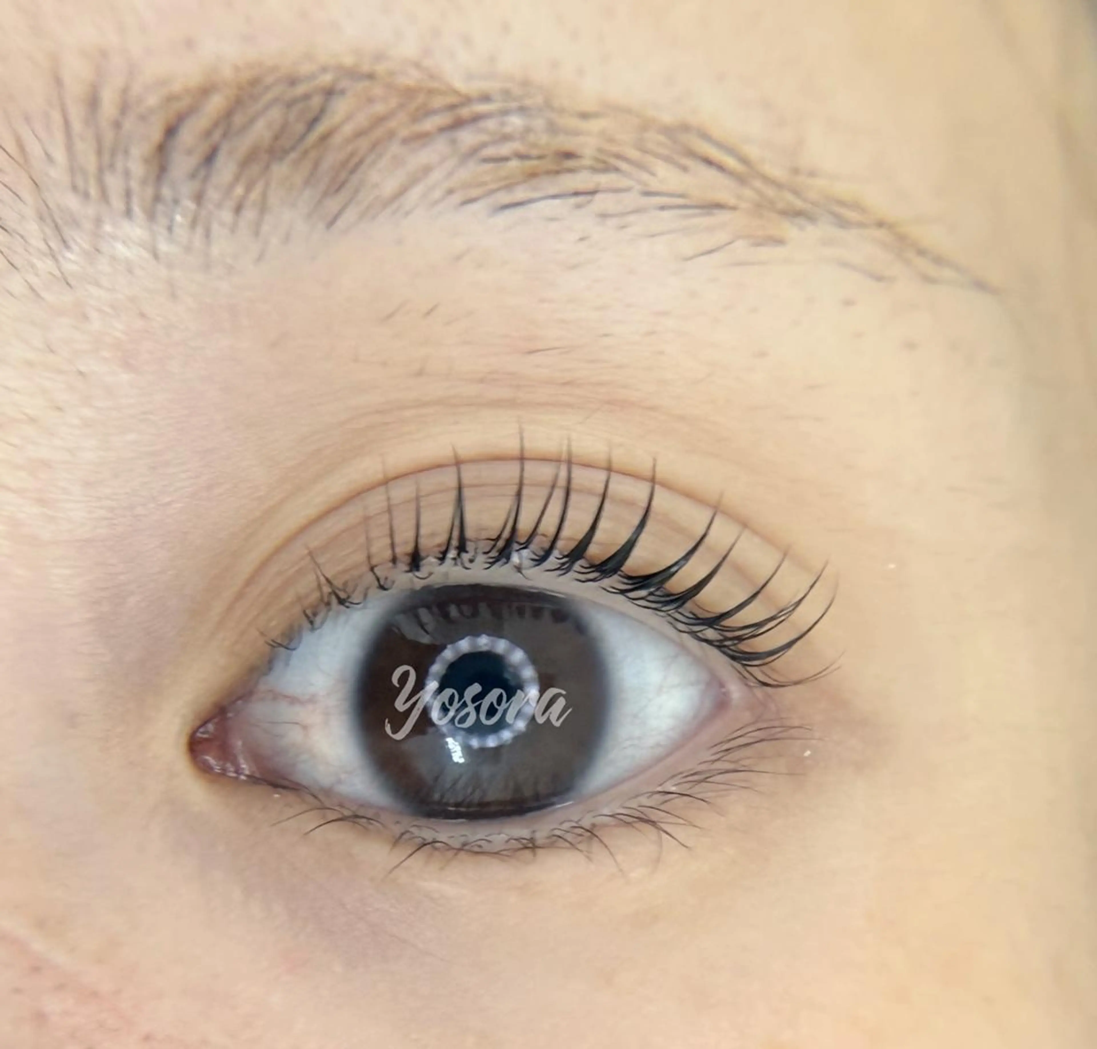 マツエク・マツパ パリジェンヌラッシュリフト マツパ 浅草橋 Yosoraのマツエク・マツパデザイン