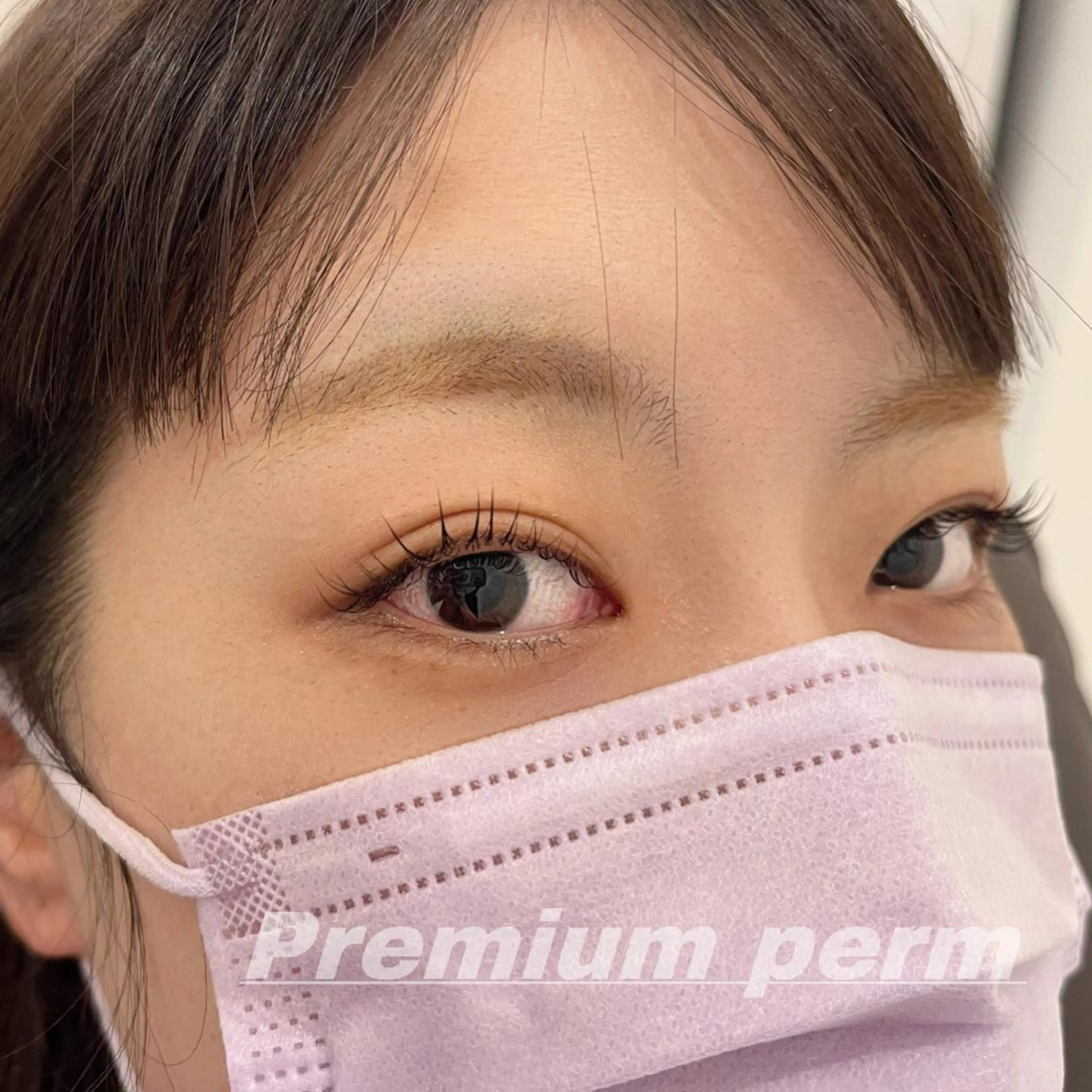 マツエク・マツパ 一重×まつ毛パーマ マツパ Eye ELSA lash栄店の眉毛・アイブロウイメージ