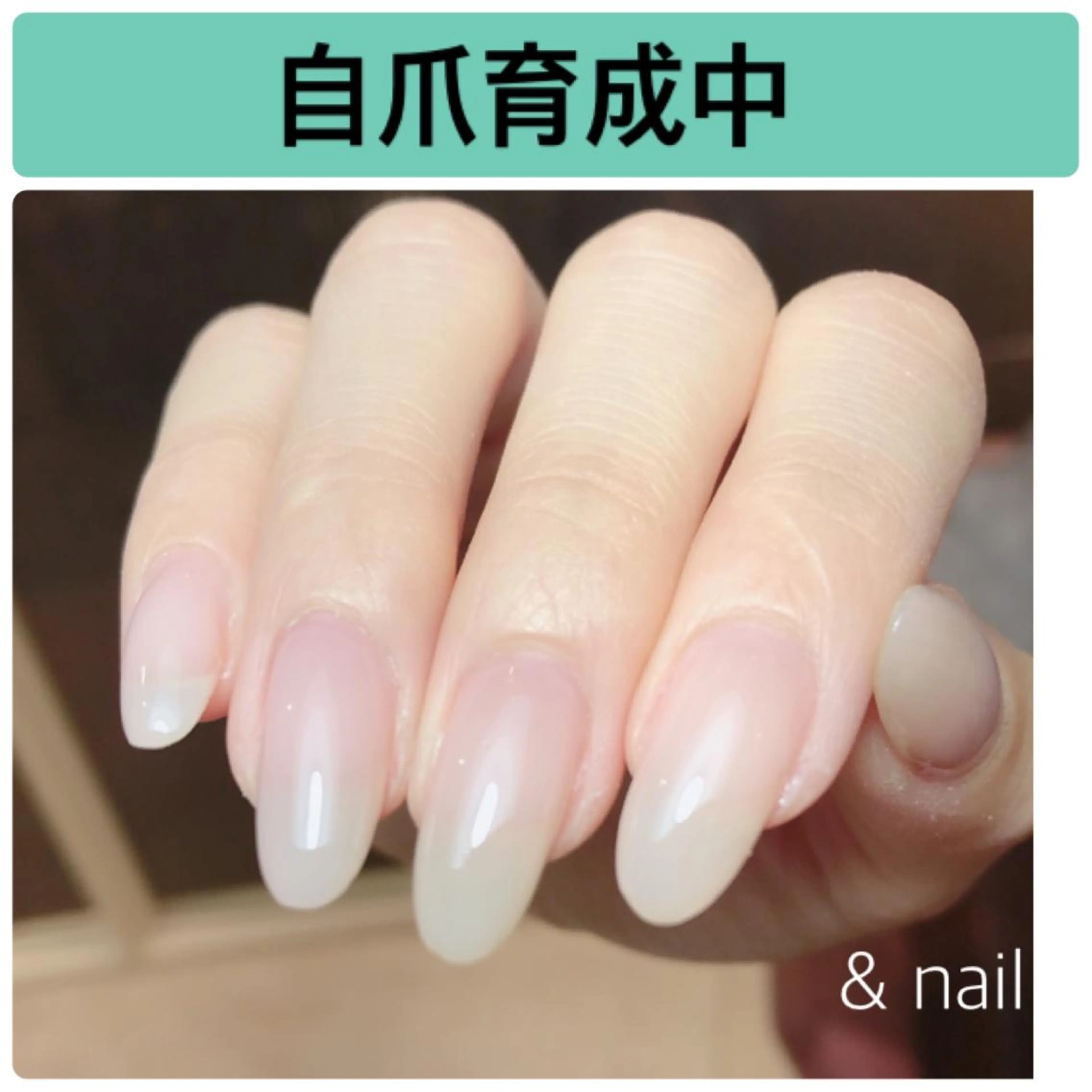 ネイル & nail なみざきのネイルデザイン