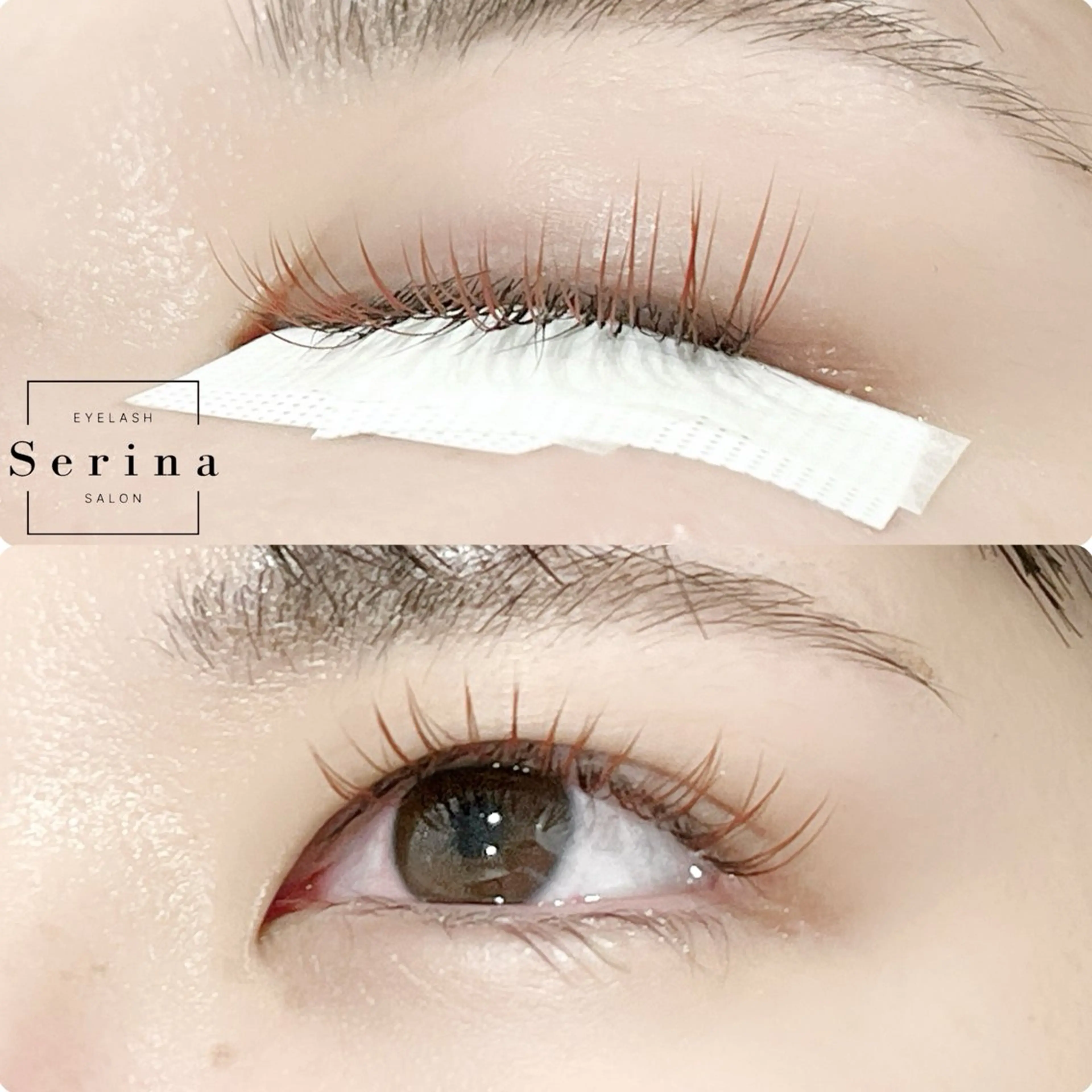 マツエク・マツパ カラーマツエク フラットラッシュ Serina新宿南口 佐藤のマツエク・マツパデザイン