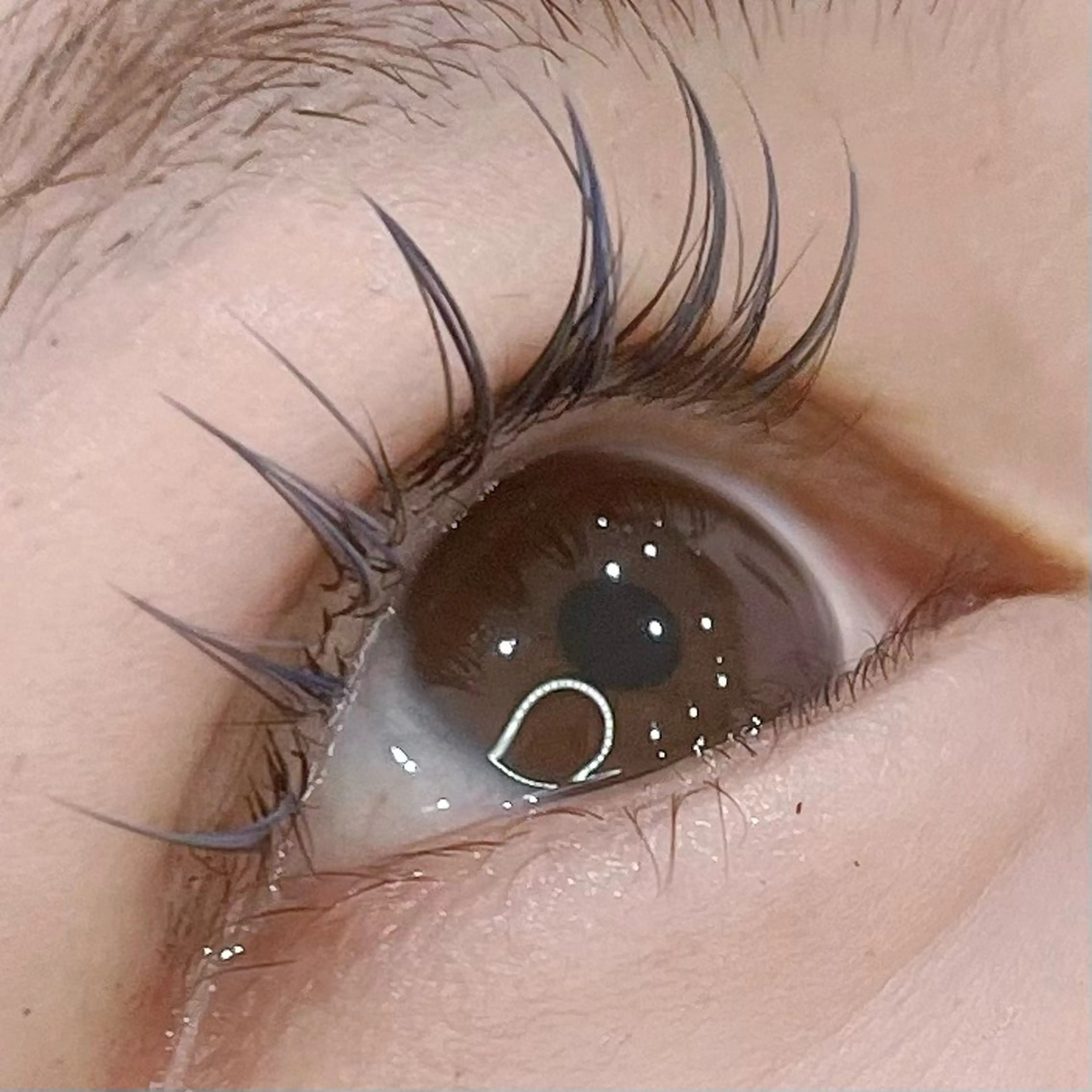 マツエク・マツパ 🪸似合わせ/お悩み 解決🪸しもだのマツエク・マツパデザイン