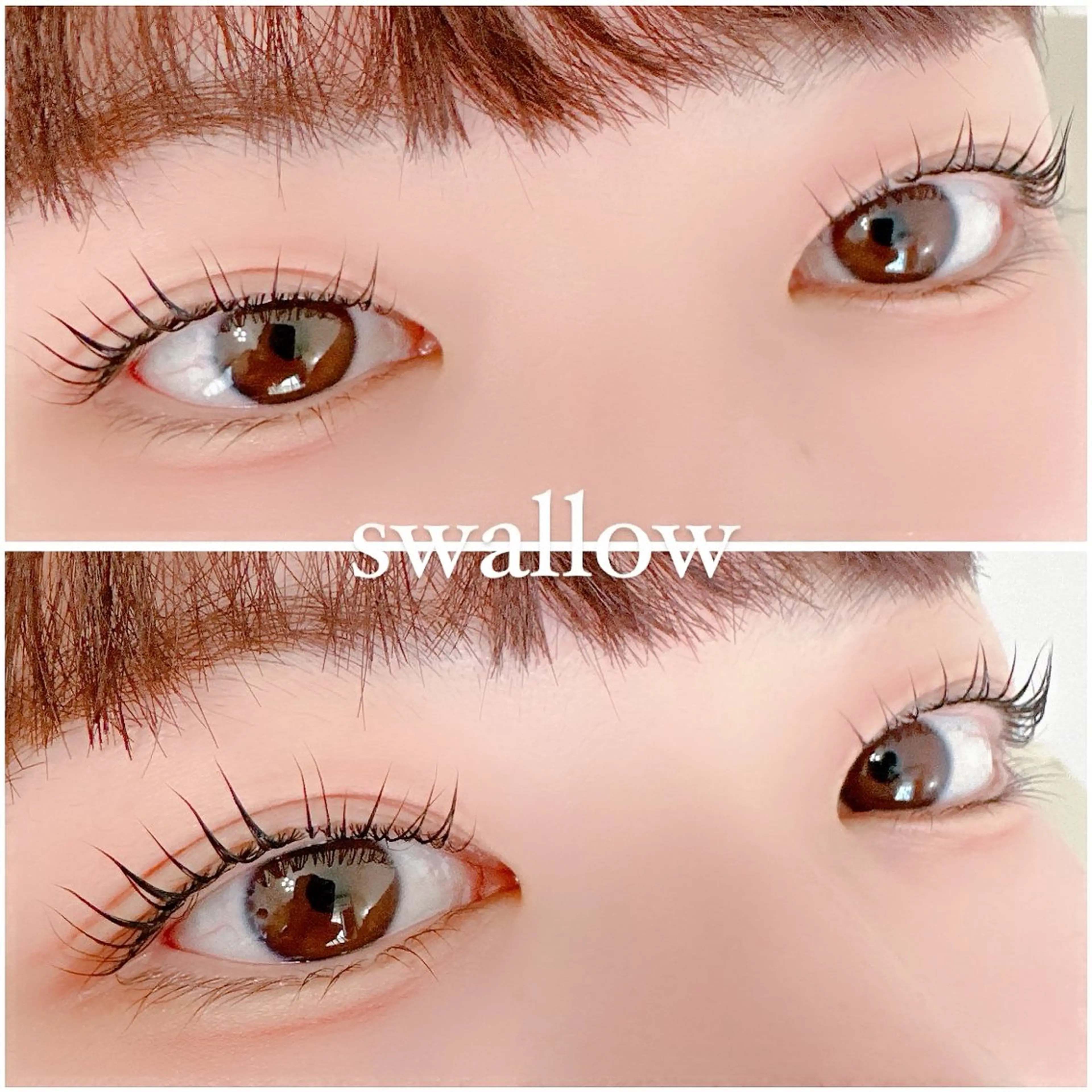 マツパ swallow 奈良西大寺店のマツエク・マツパデザイン