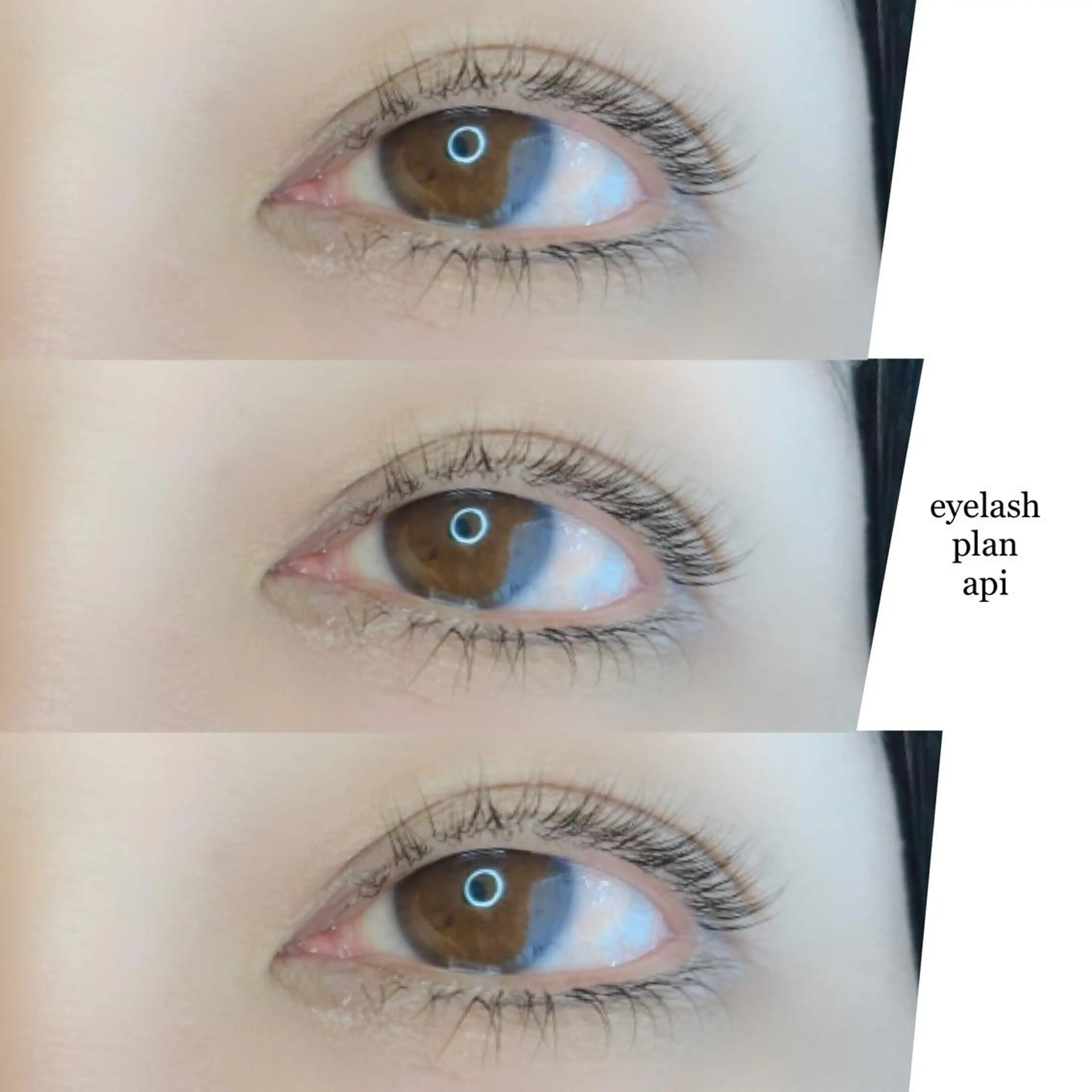 マツエク・マツパ 《eyelash ｉｉｔｅ》森のマツエク・マツパデザイン