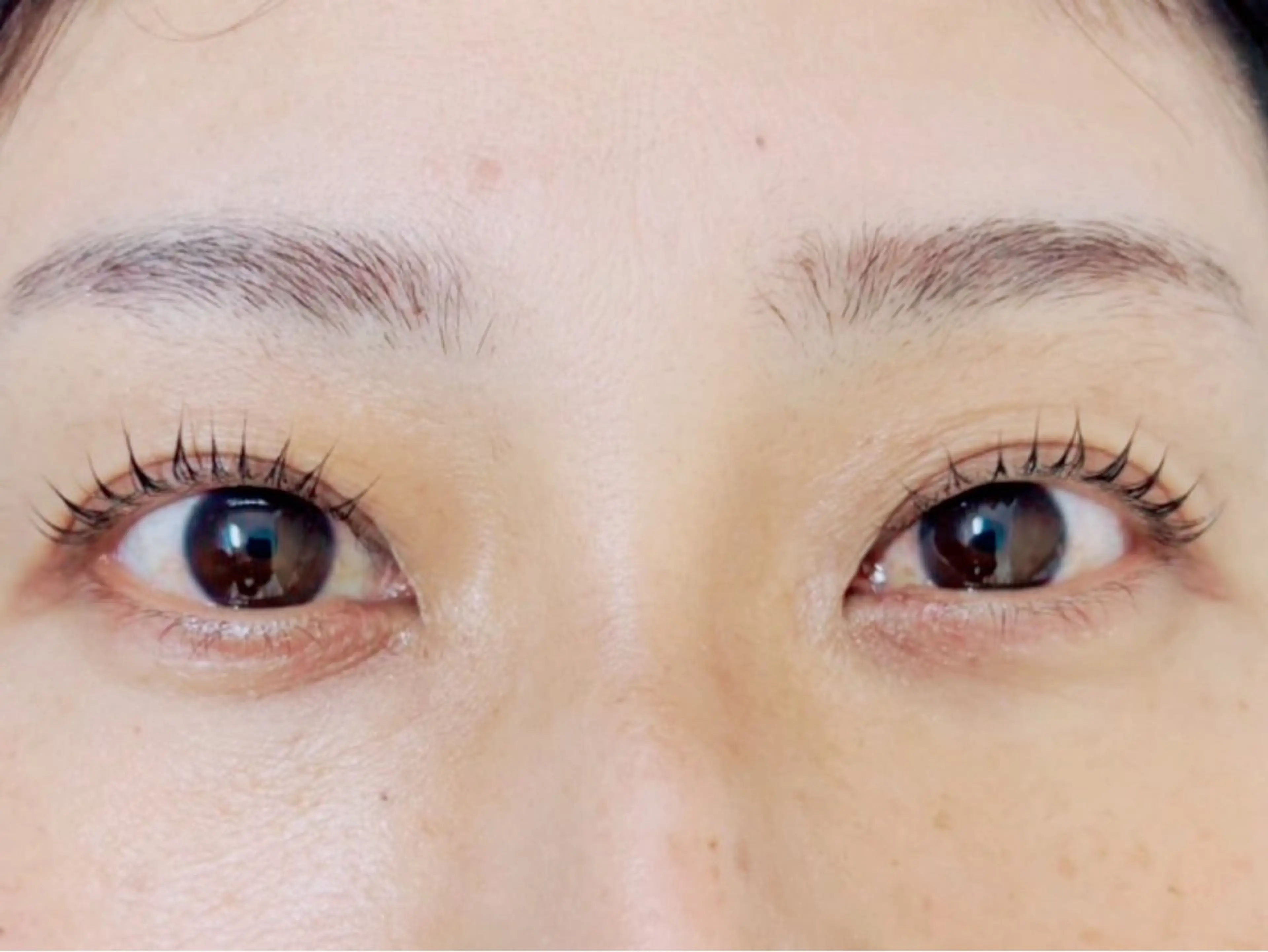 マツエク・マツパ TERRA MAYUのマツエク・マツパデザイン