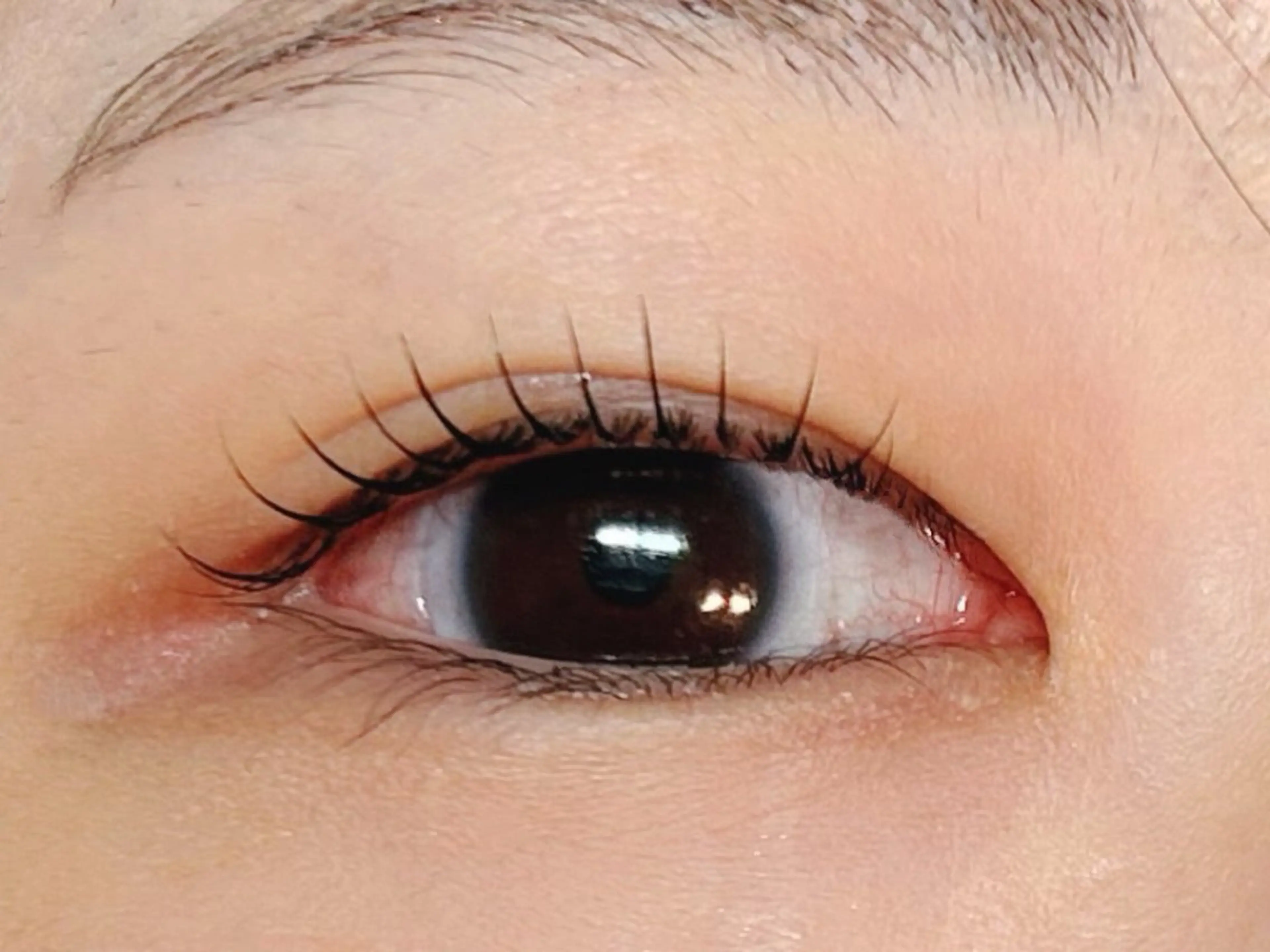 マツエク・マツパ Melia Chieのマツエク・マツパデザイン