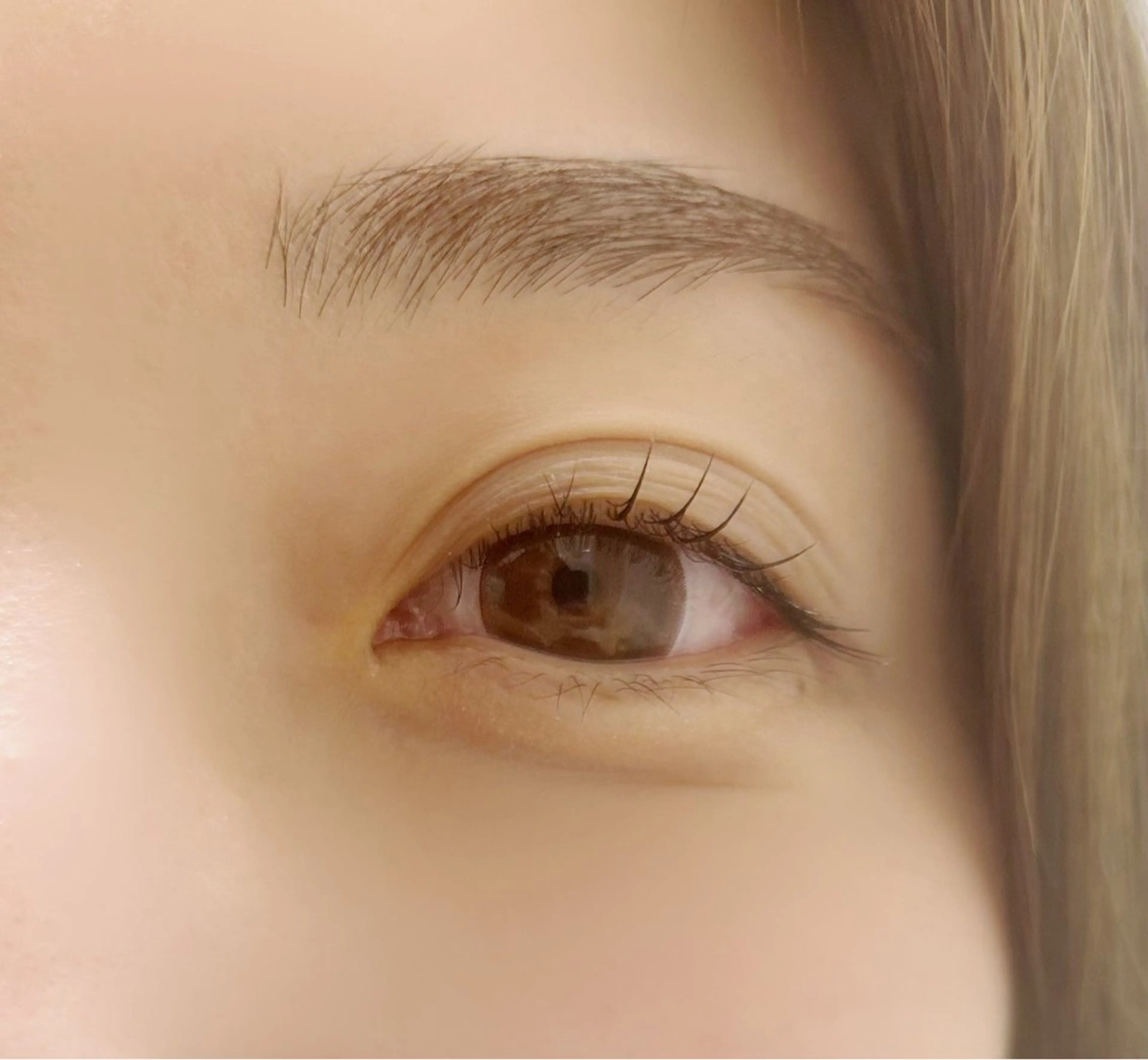 【アイシャンプー付】コスメラッシュリフトの写真