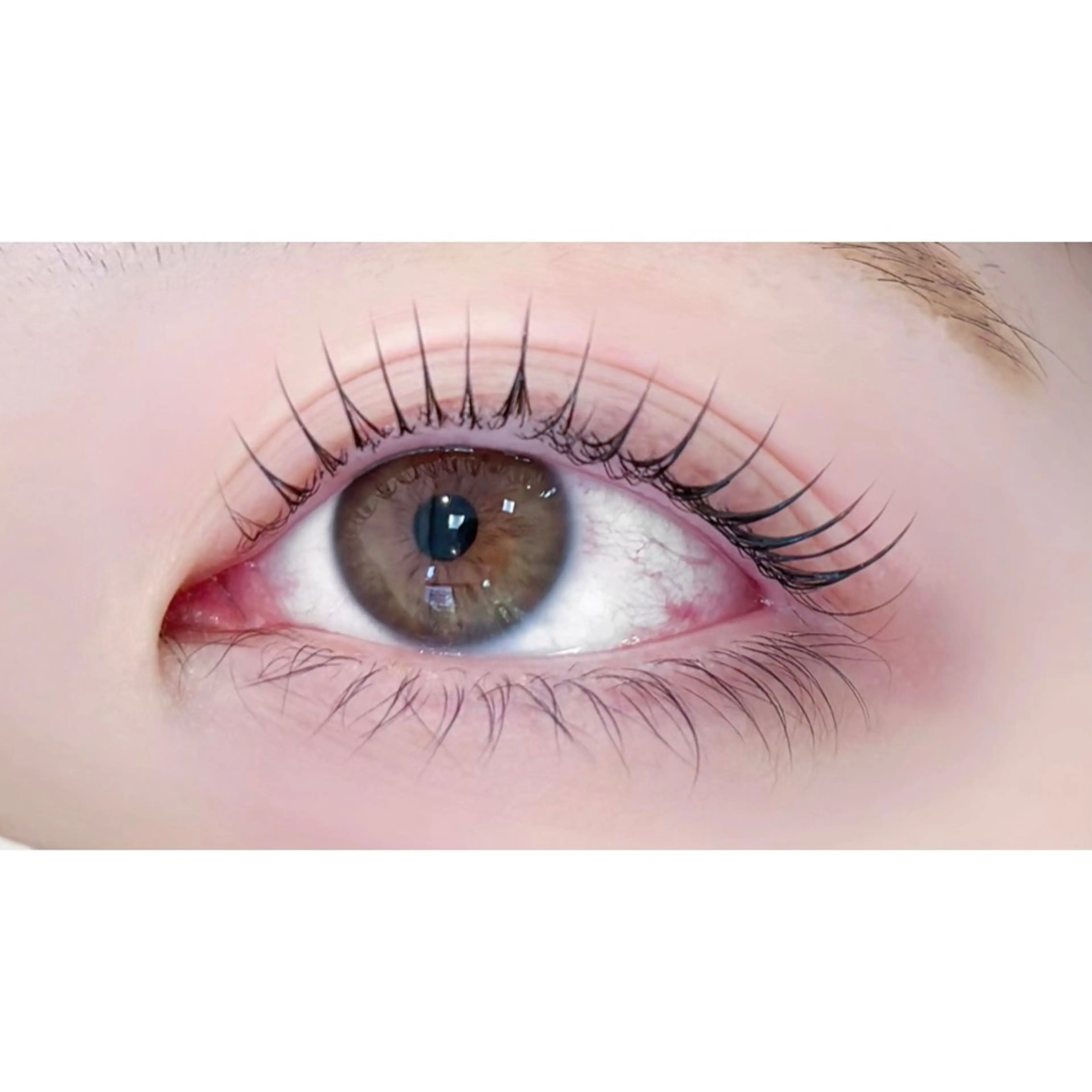 マツエク・マツパ マツパ アルターエクラ ⟡.🎼 mikiのマツエク・マツパデザイン