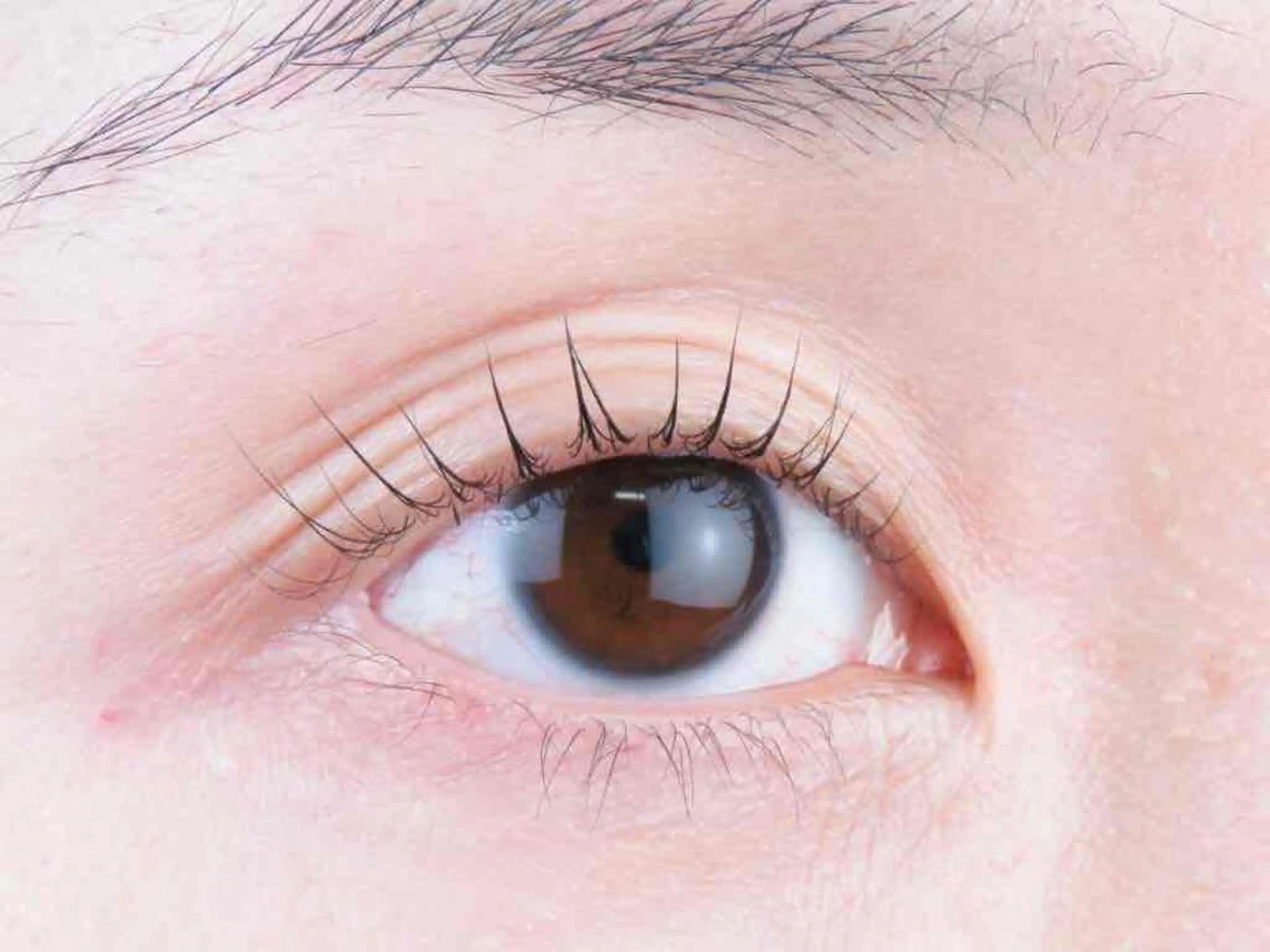 マツエク・マツパ マツパ R'ocoLush 恵比寿店江川のマツエク・マツパデザイン