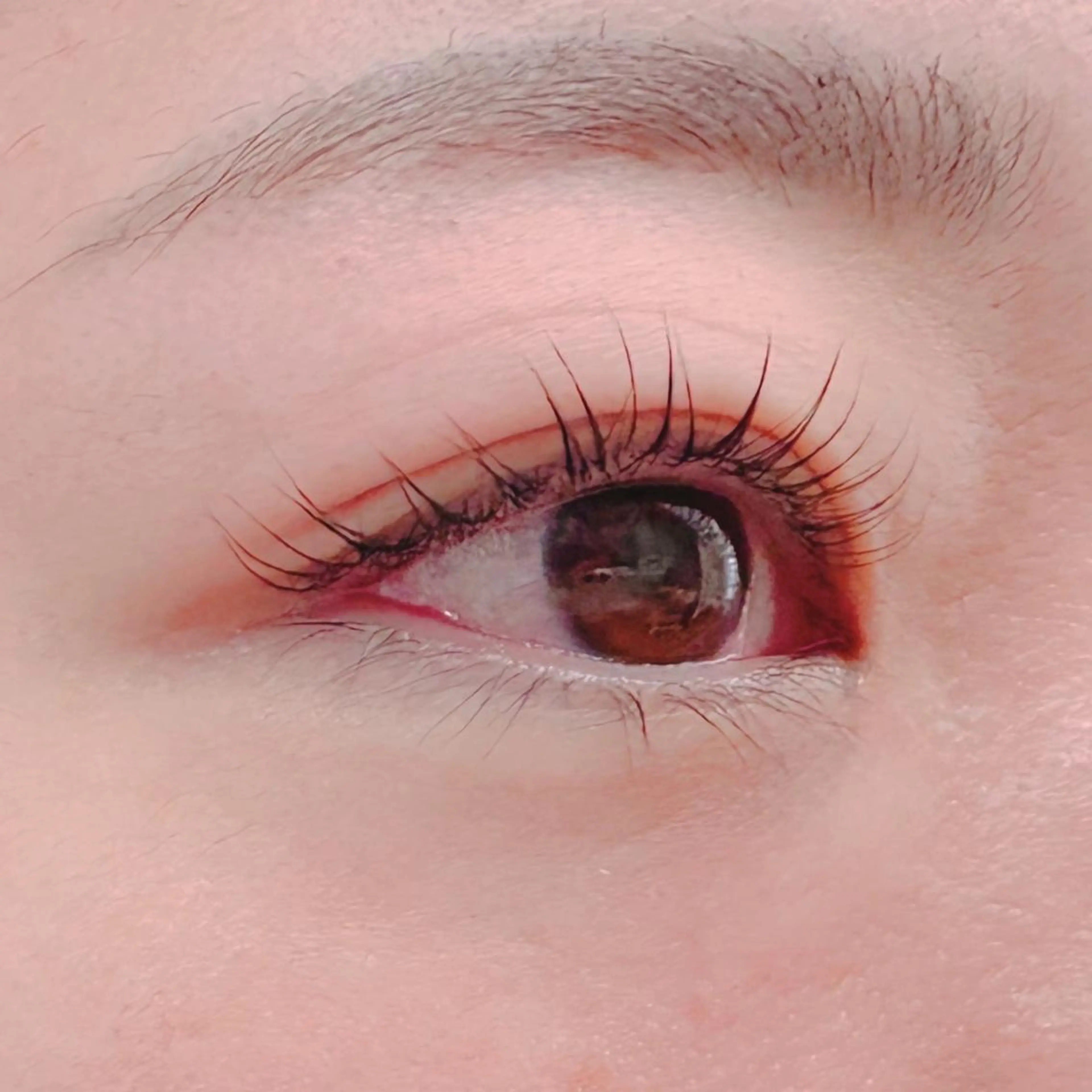 マツエク・マツパ マツパ blanca🌺 mayu(東白楽)の眉毛・アイブロウイメージ