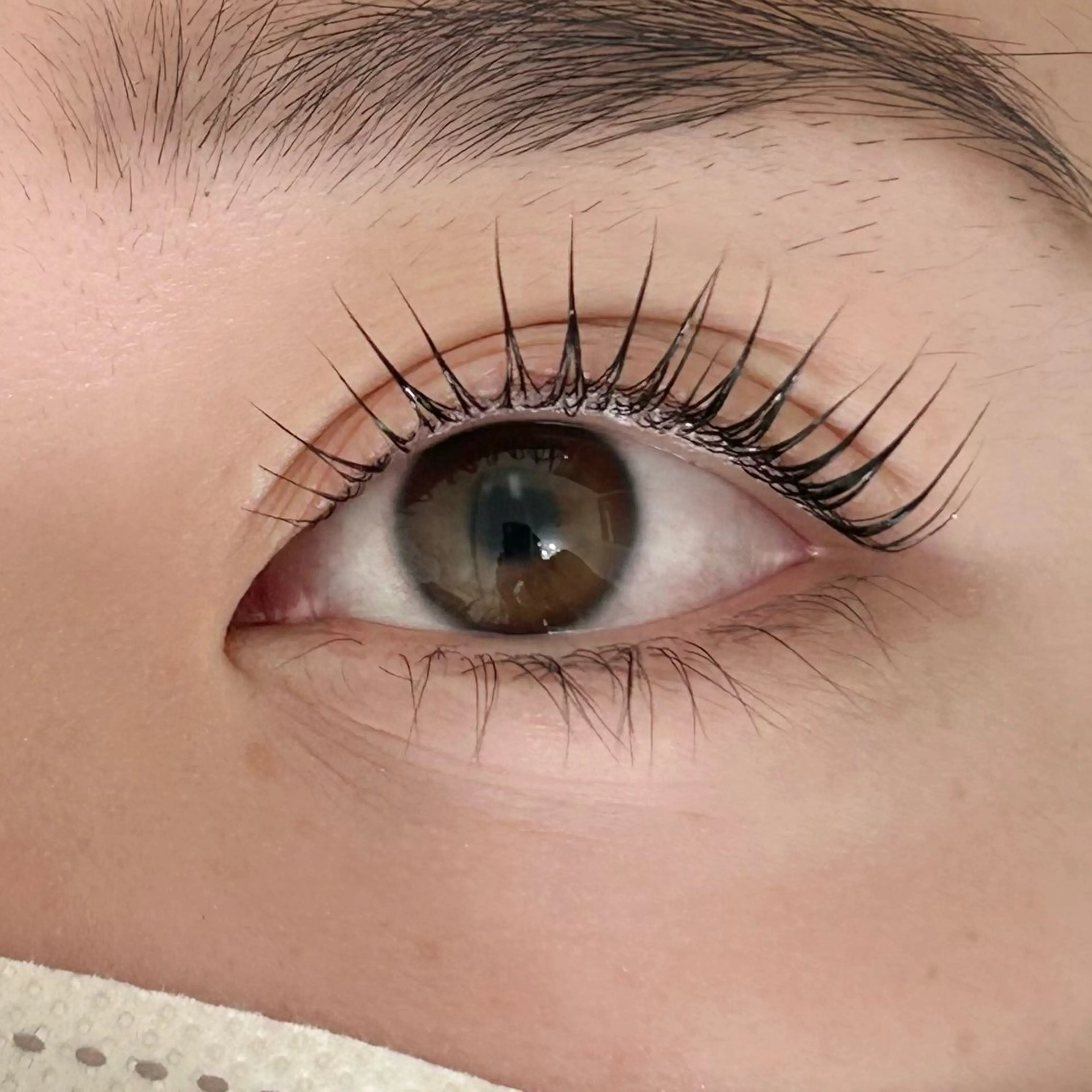 マツエク・マツパ ロレインブロウ 二俣川店のマツエク・マツパデザイン