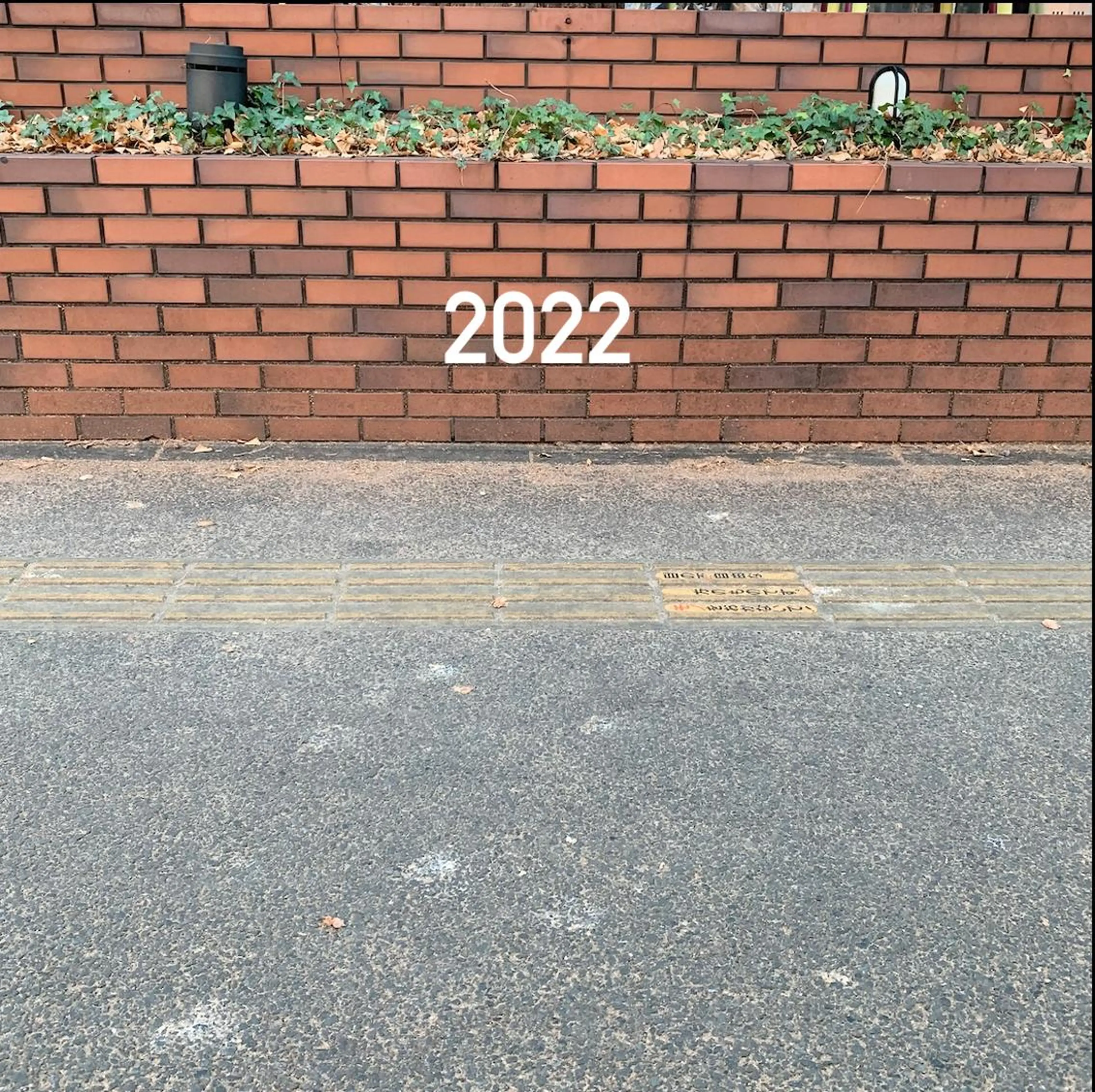 ミディアム カラー パーマ カット ヘアカラー ナチュラルなショート 北本空河のヘアスタイル