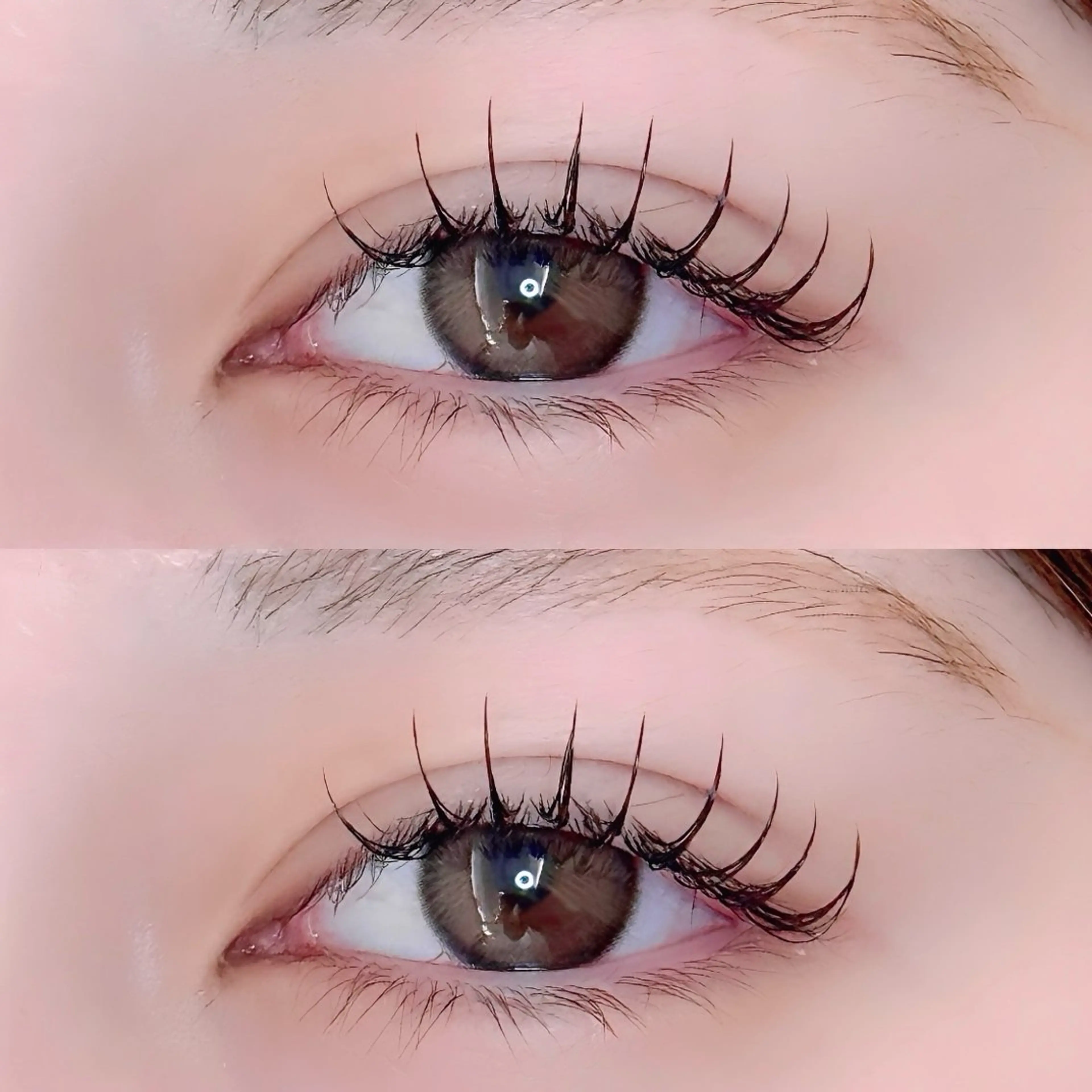 マツエク・マツパ マツエク fein.aoi🎀 🤍のマツエク・マツパデザイン