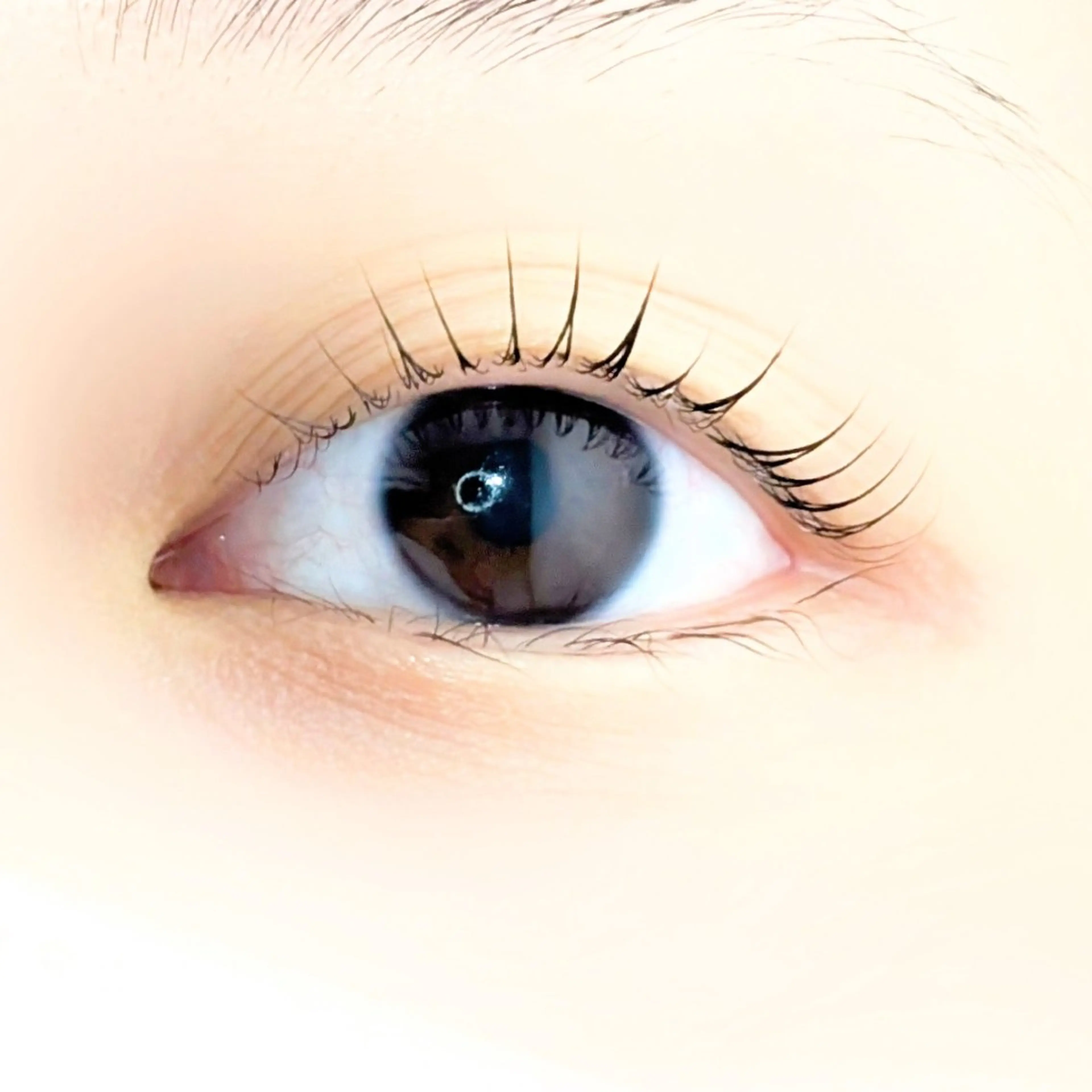 マツエク・マツパ bloom chihiroのマツエク・マツパデザイン