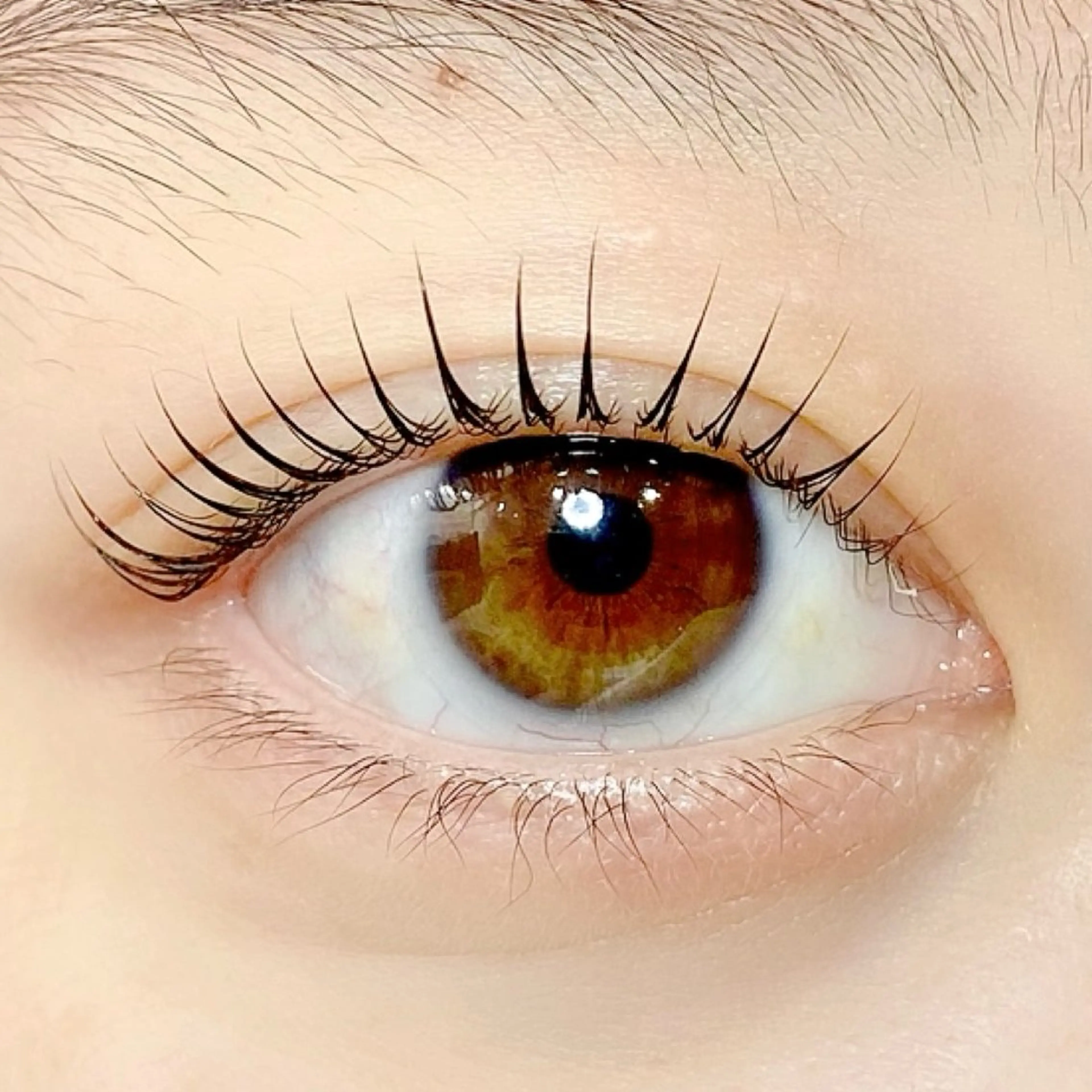 マツエク・マツパ 一重×まつ毛パーマ サロン ド フォース 西船橋店/伊藤のマツエク・マツパデザイン