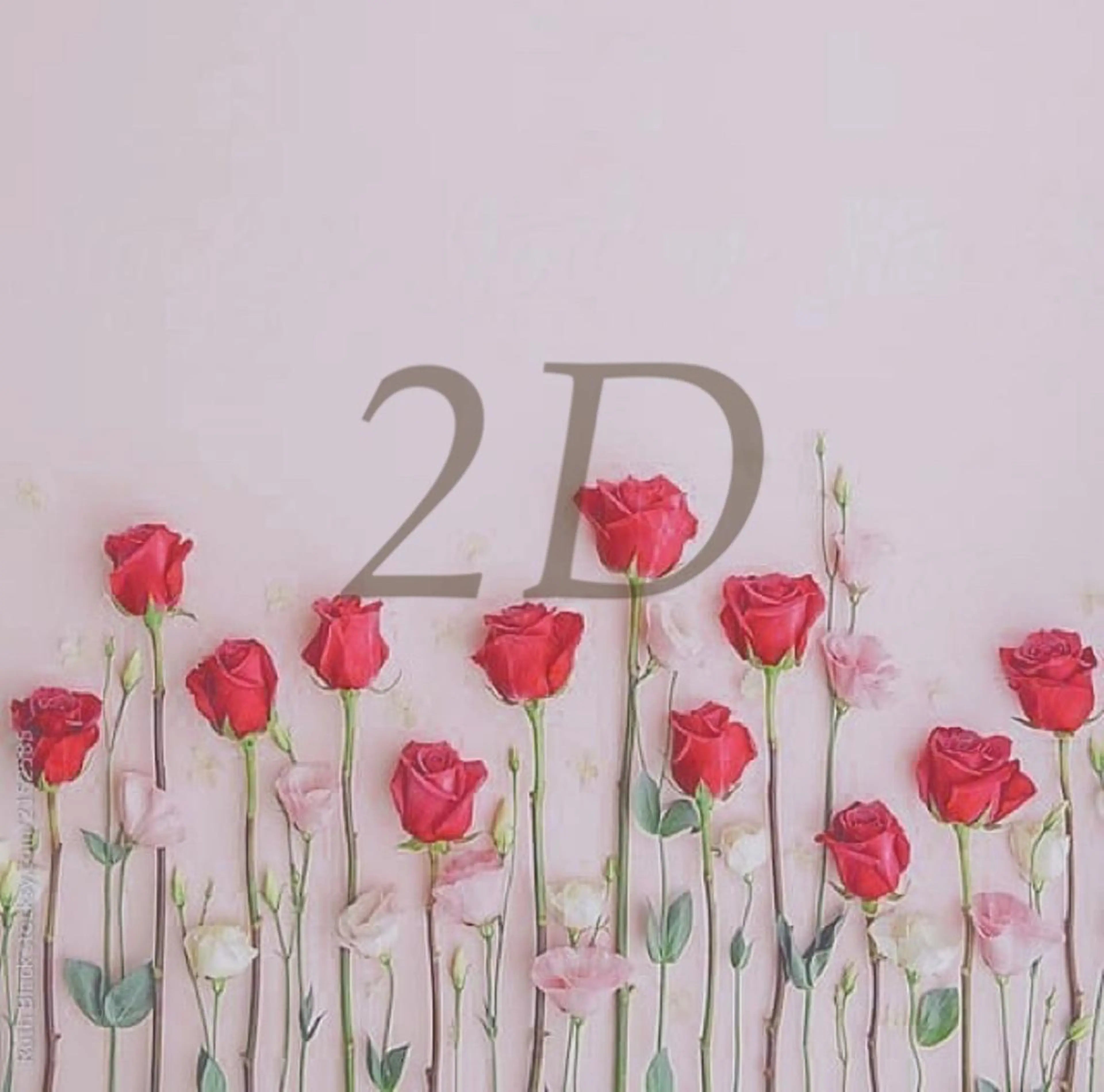 マツエク・マツパ 大島上町 JUPITERのマツエク・マツパデザイン