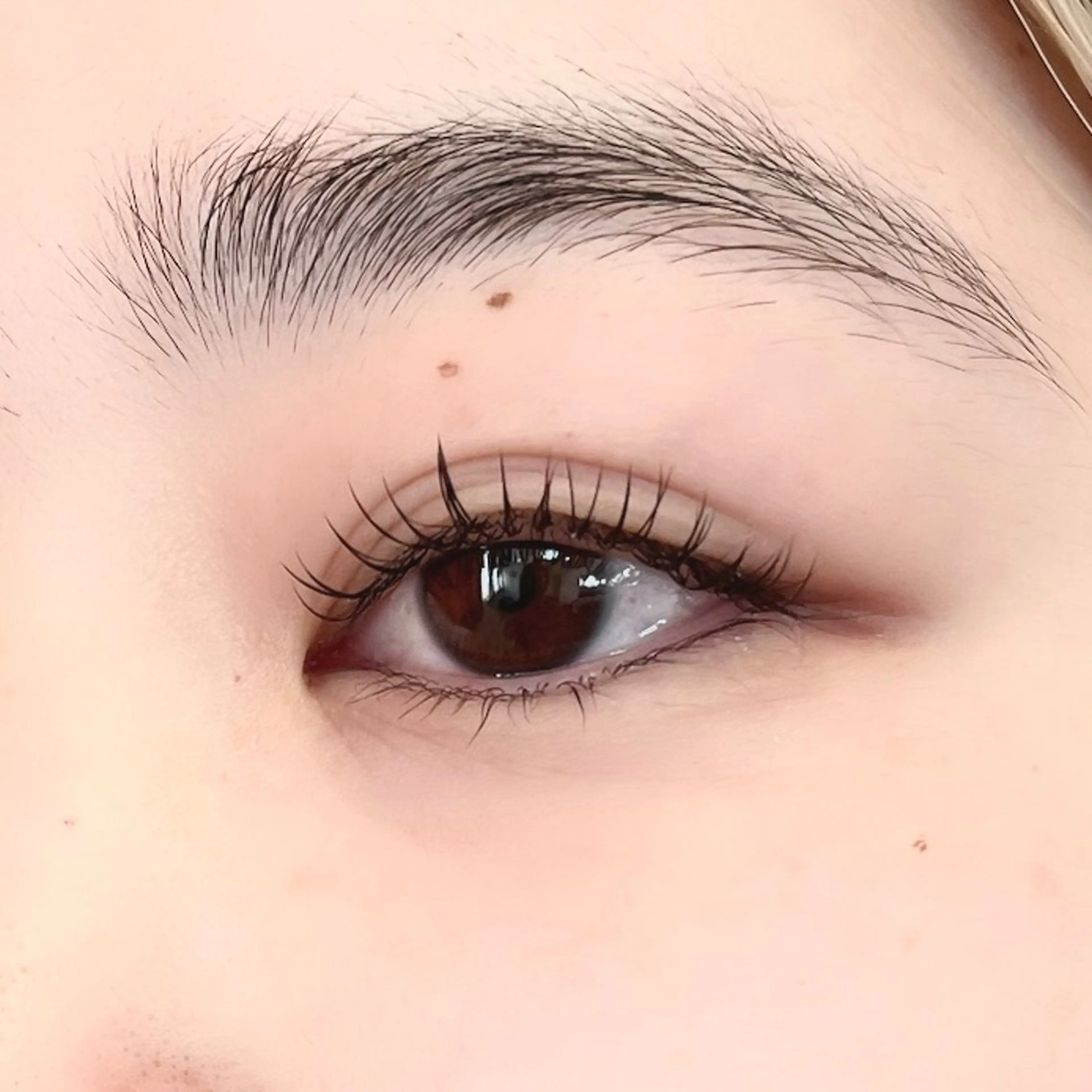 マツエク・マツパ マツエク 🦋平林 未莉🦋✨のマツエク・マツパデザイン