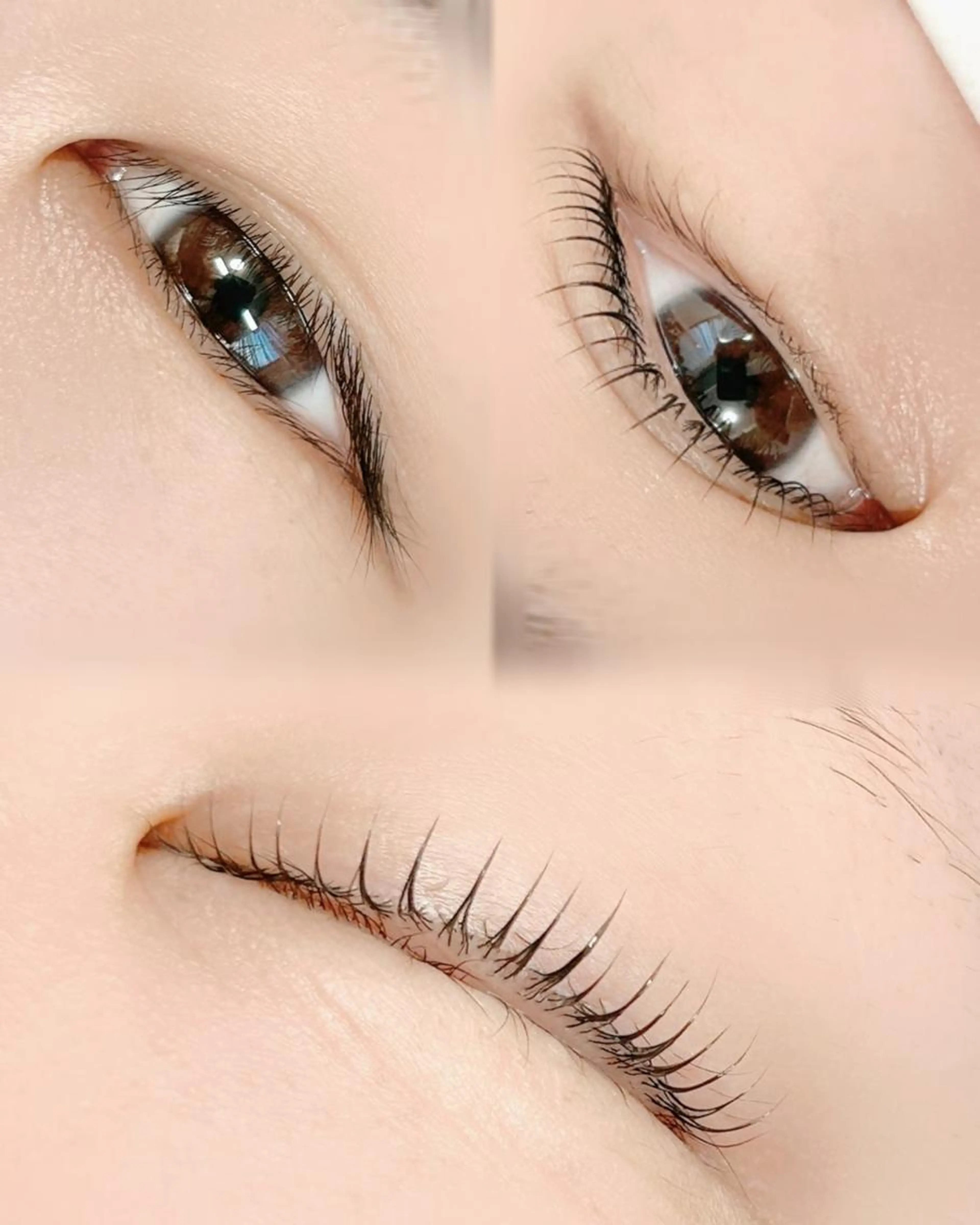 マツパ&エクオフの写真