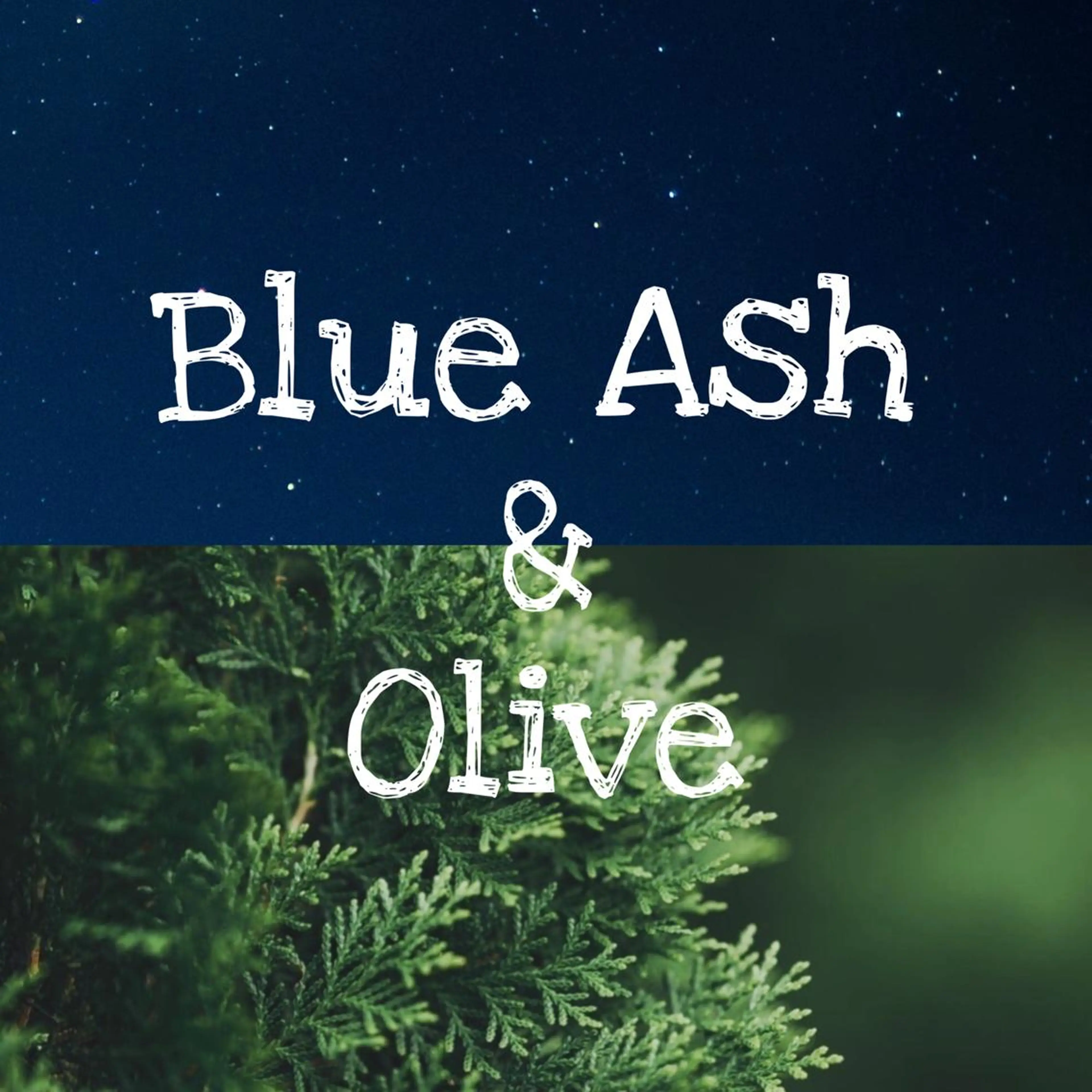 ショート アッシュ 鈴木遥幾 艶髪特化美容師のヘアスタイル