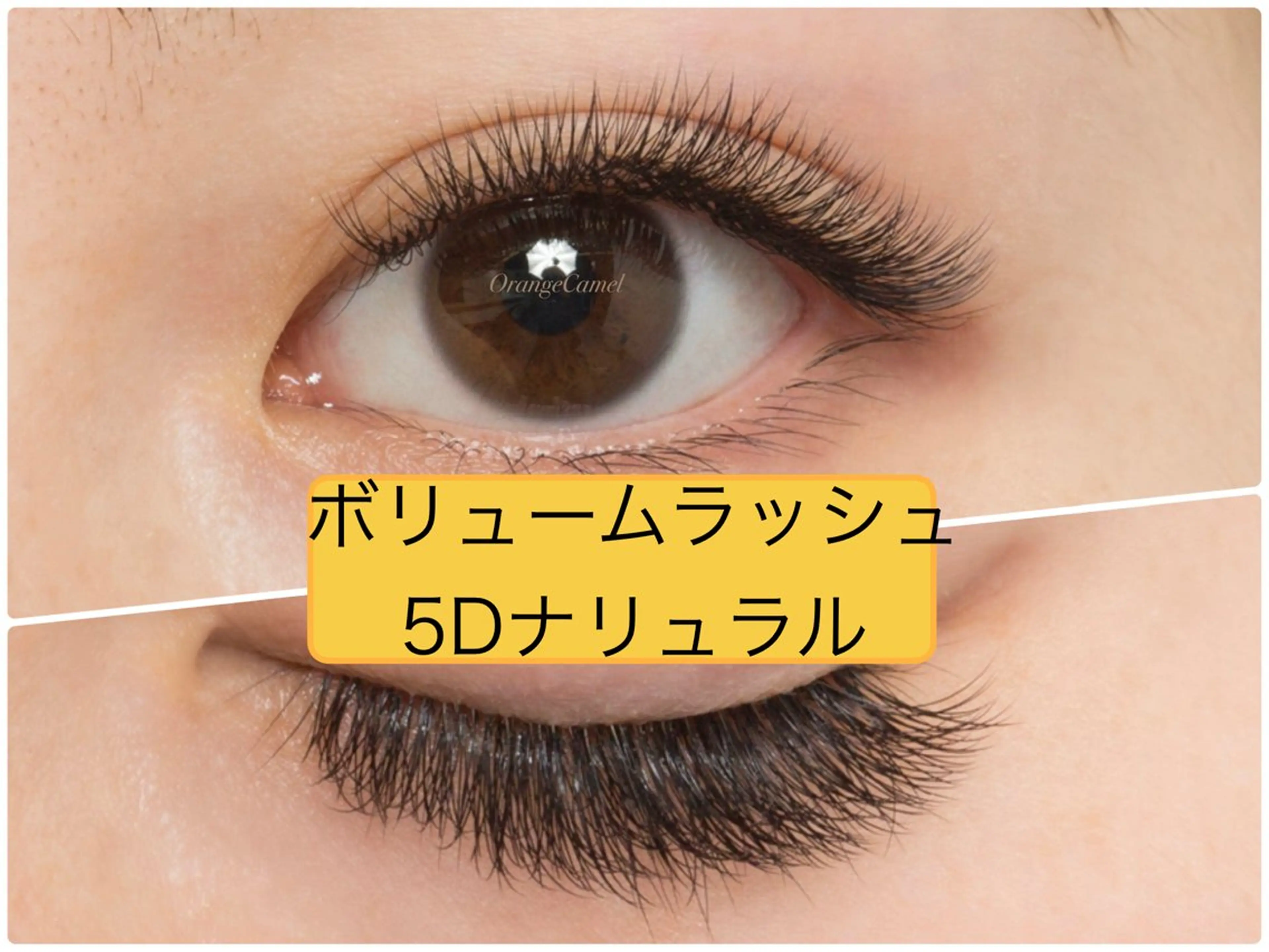 マツエク・マツパ Orange  Camelのマツエク・マツパデザイン