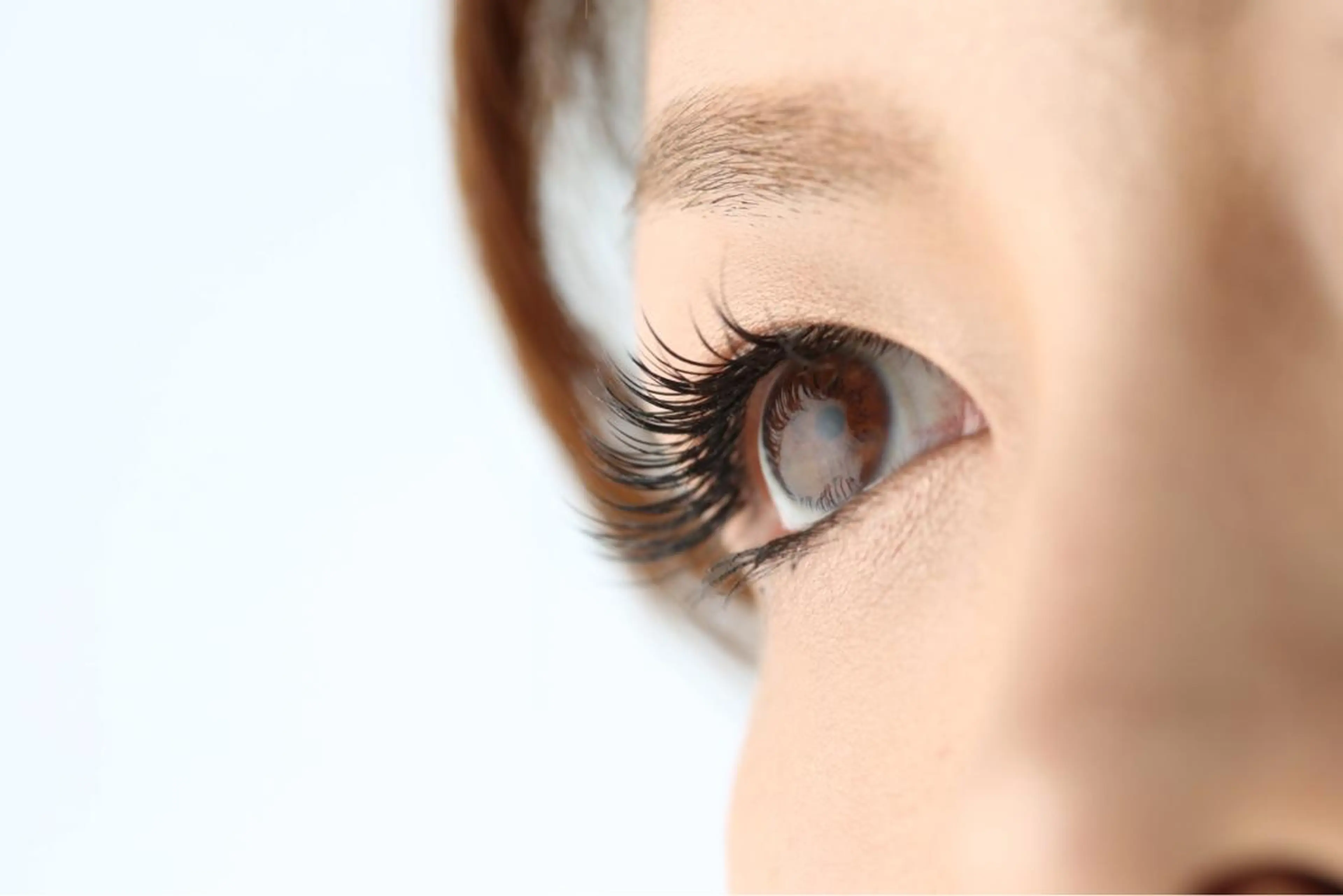 プラチナセーブル100本の写真