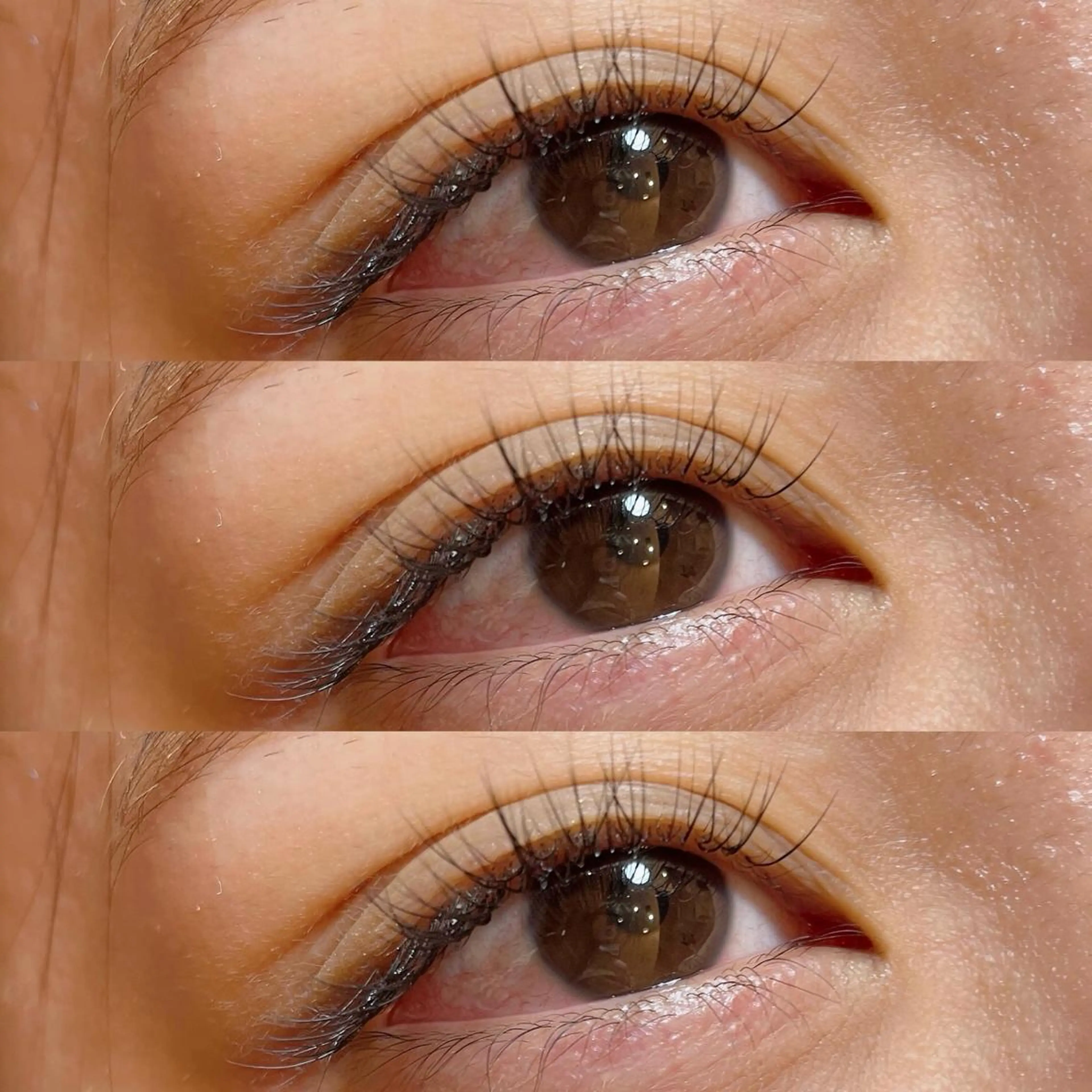 マツエク・マツパ Cカール キュート Jカール 玉木 愛の眉毛・アイブロウイメージ