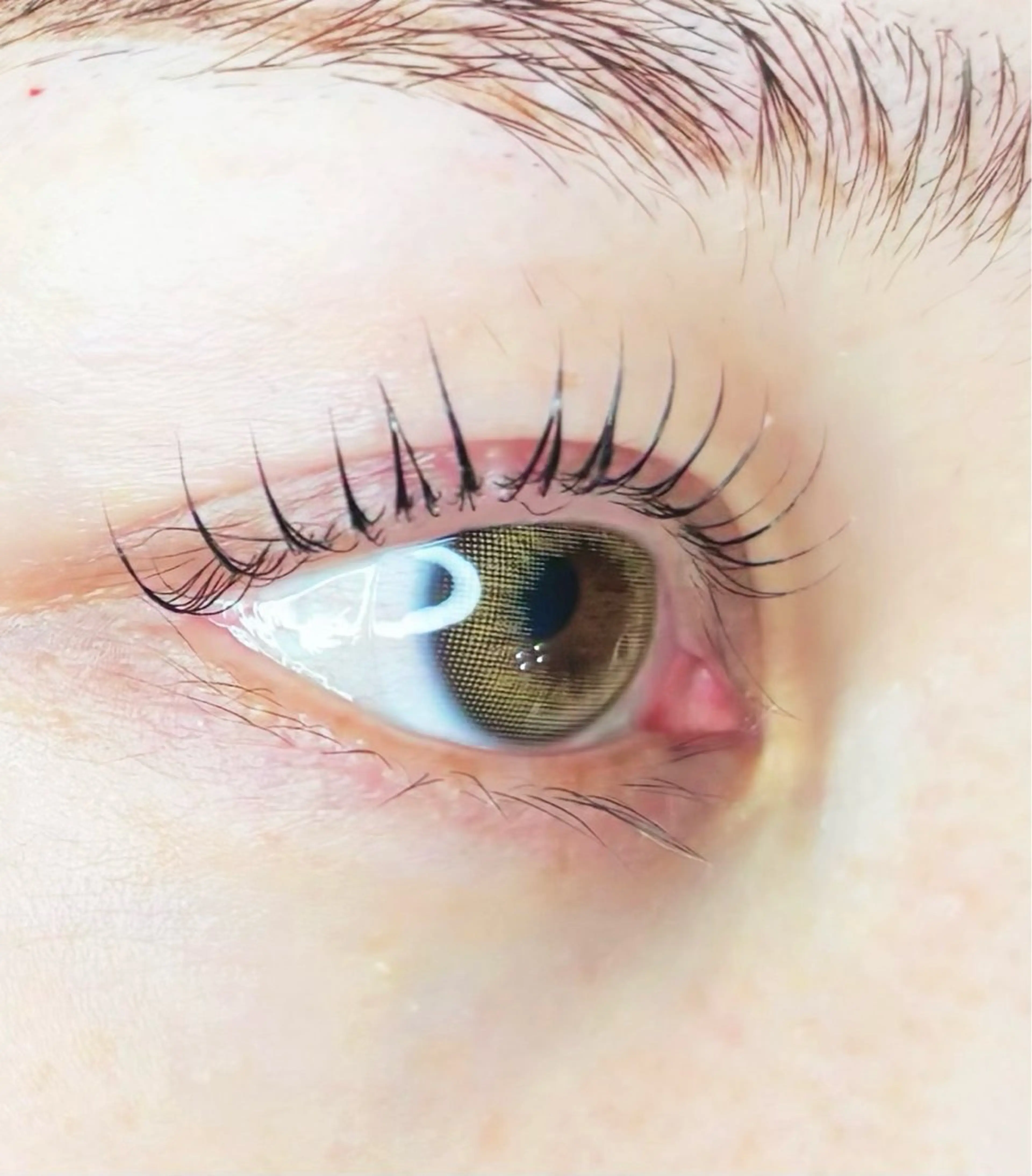 【撮影モデル募集】まつげパーマ　美容液コーティング付き🎀の写真