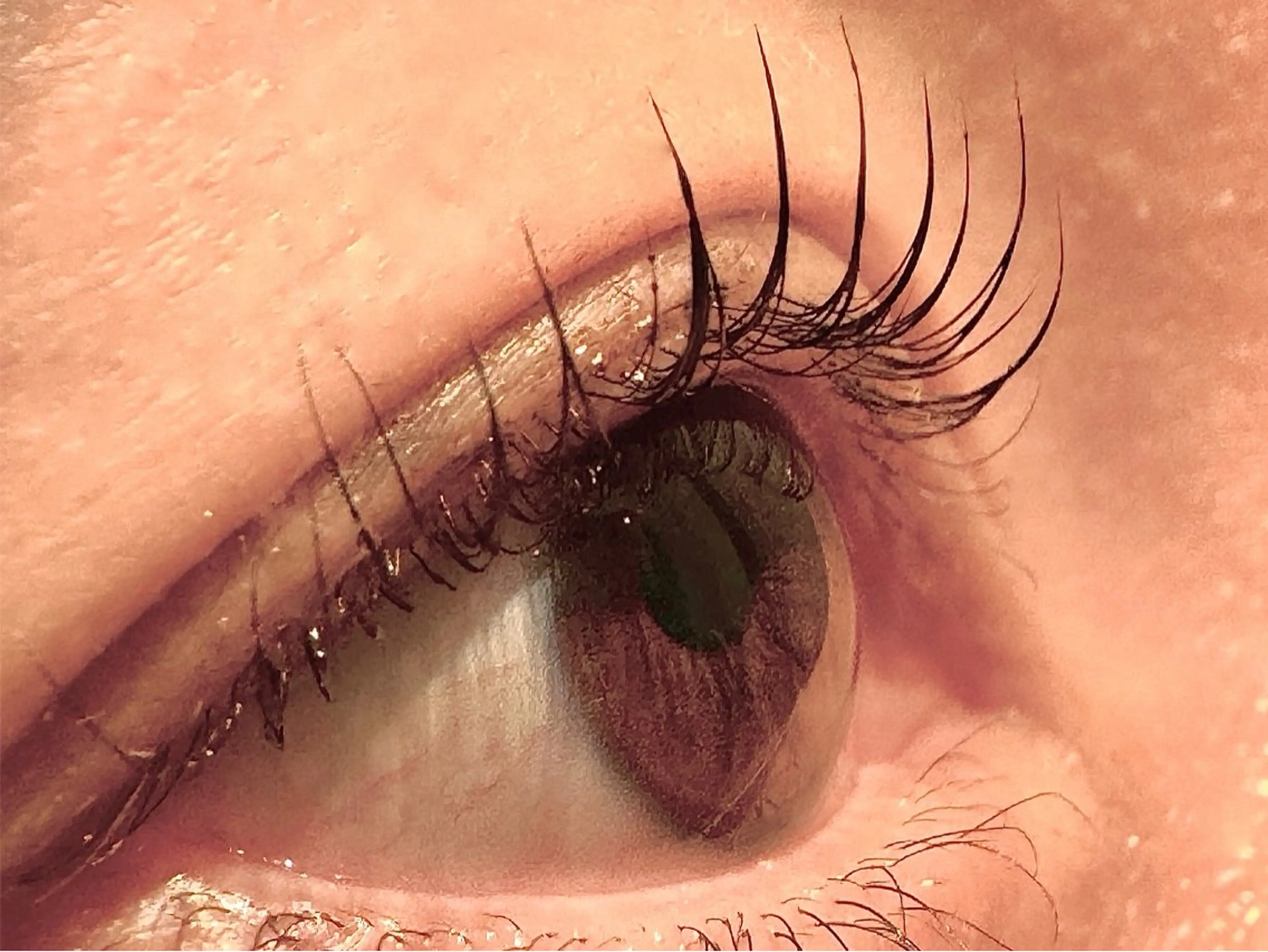 マツエク・マツパ ナチュラル Hau’oli Hirayamaの眉毛・アイブロウイメージ