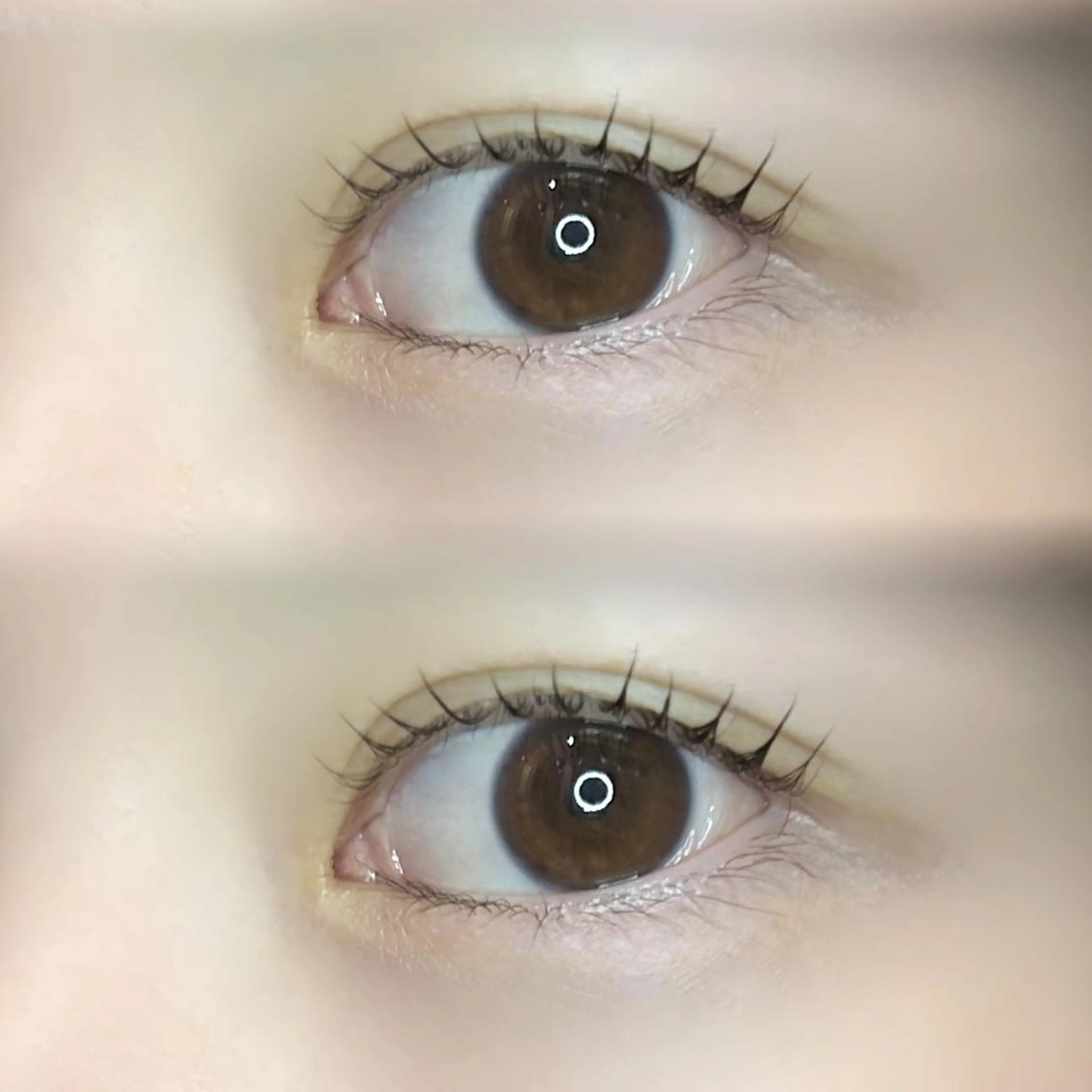 マツエク・マツパ パリジェンヌラッシュリフト 🦢✨fein. 原宿店✨🤍の眉毛・アイブロウイメージ