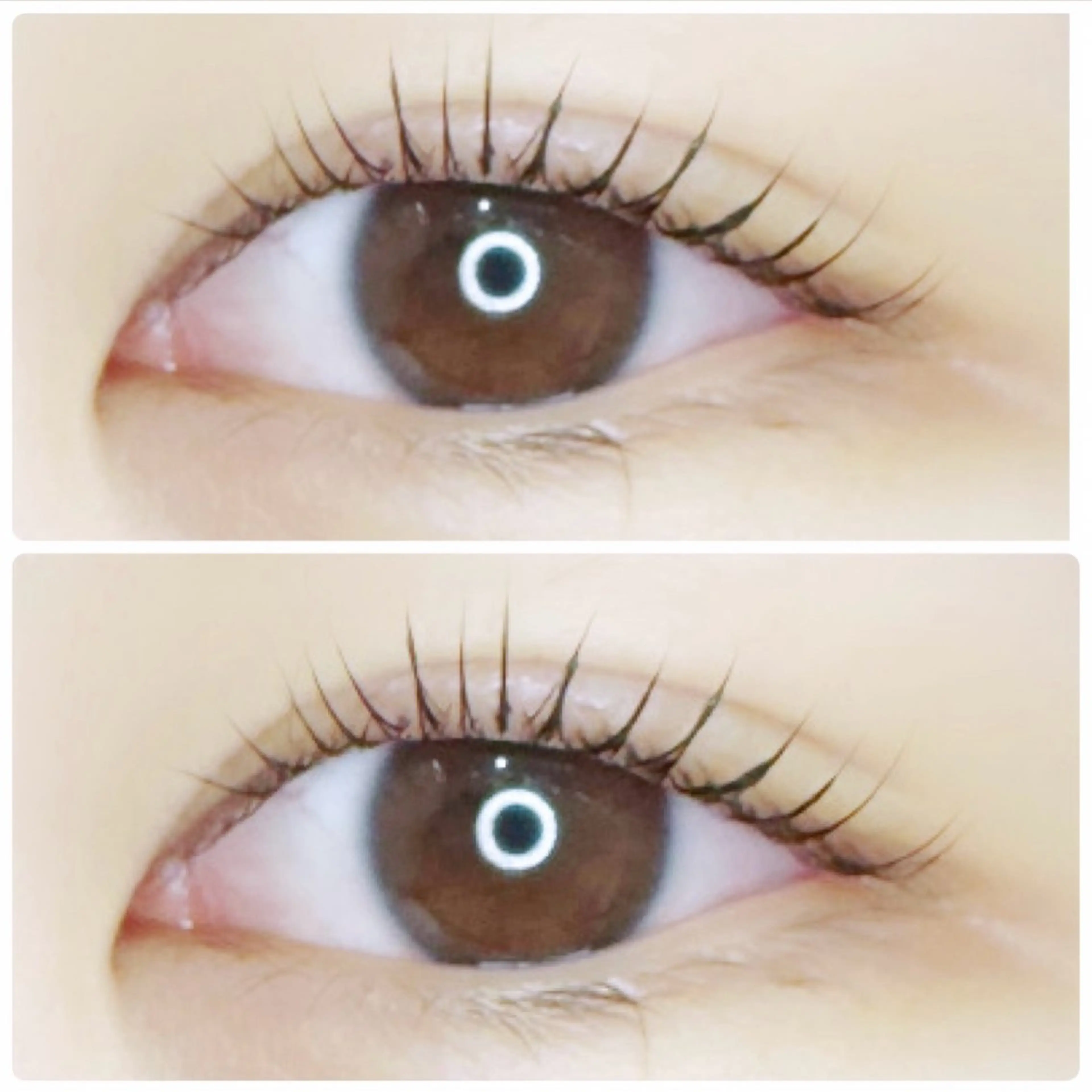 マツエク・マツパ 𓇼shiho𓇼 .のマツエク・マツパデザイン