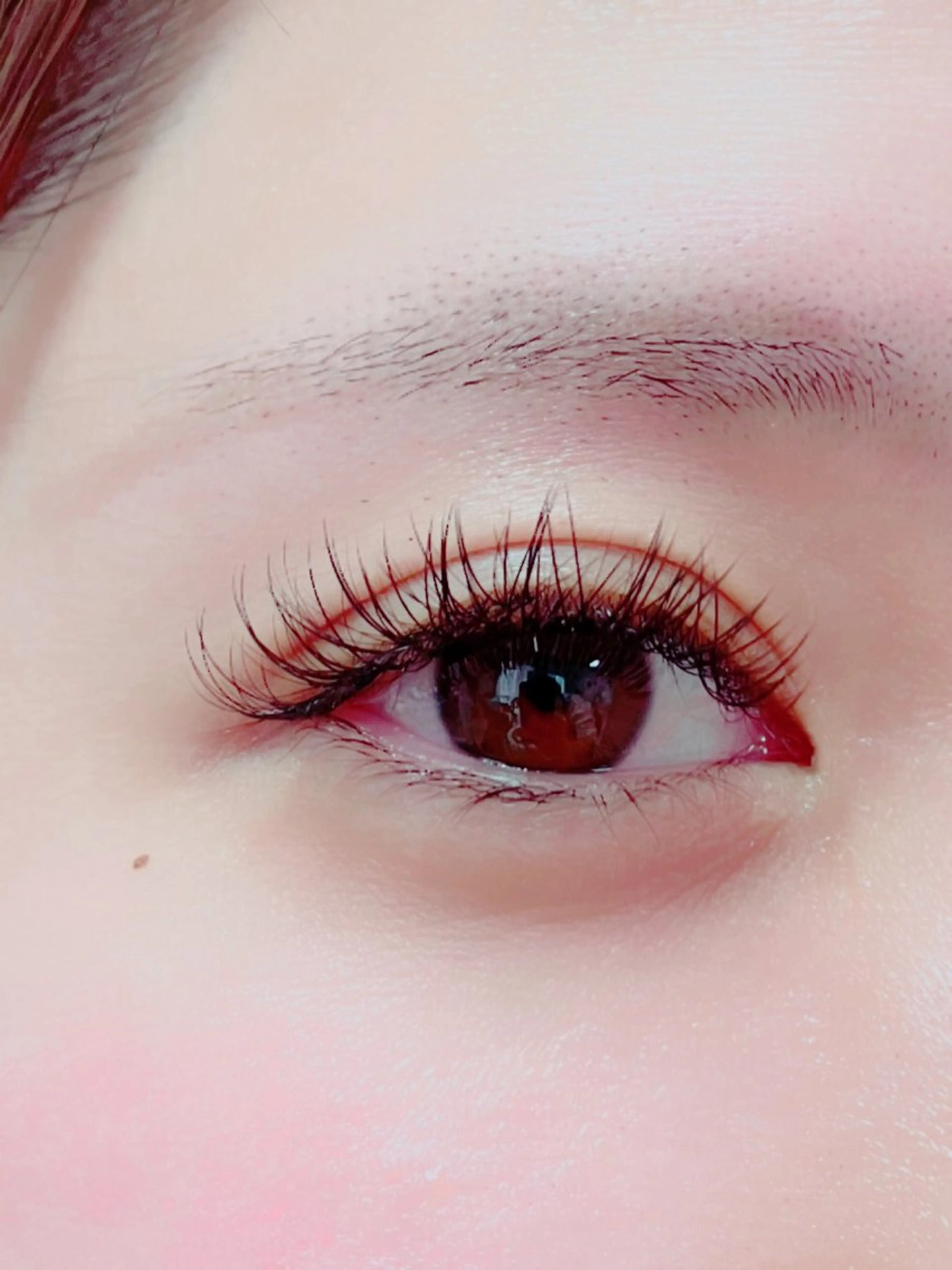 バインドロック80束⭐️ご新規様お試し⭐️オフのある方➕500円の写真