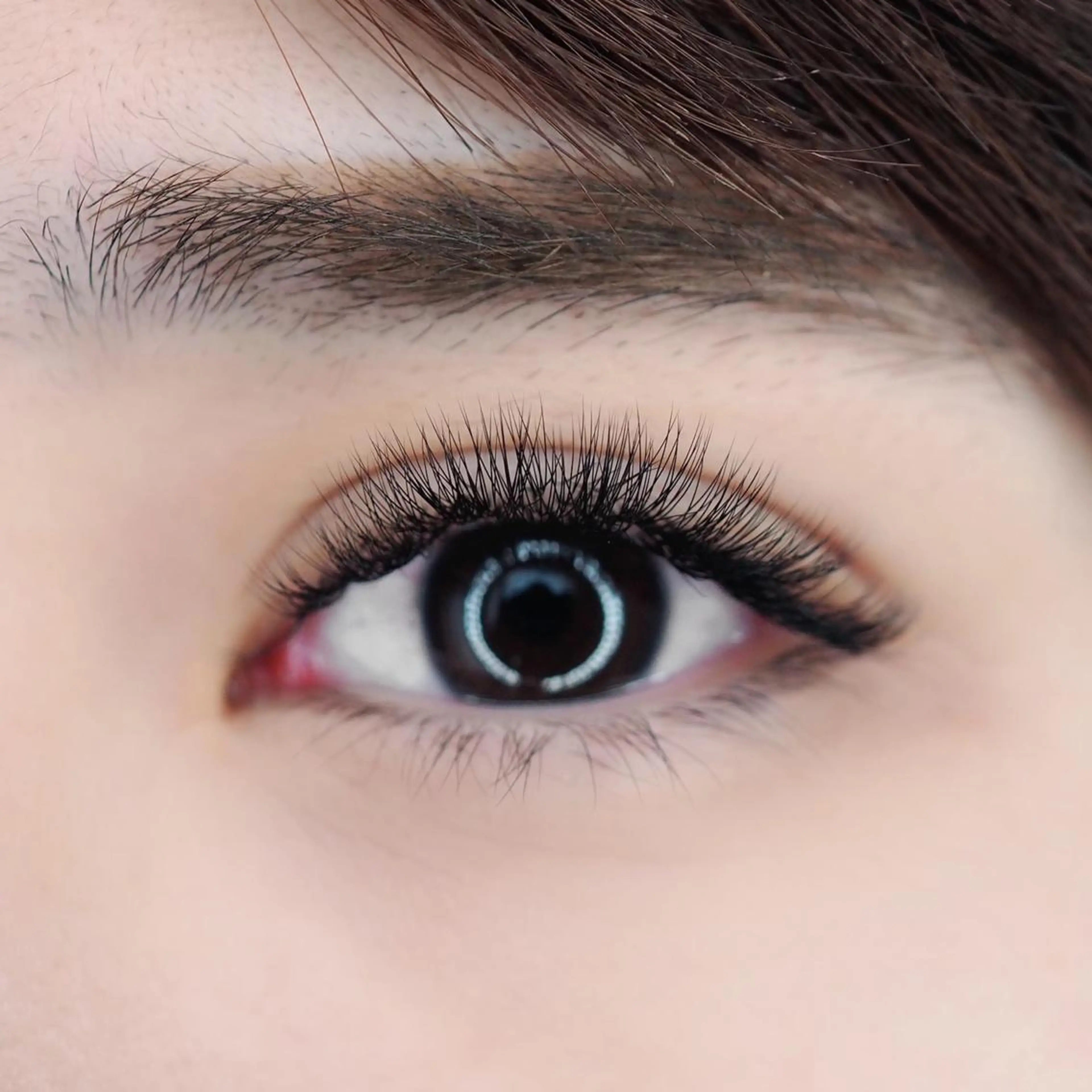 マツエク・マツパ Maile leaf 【マイレリーフ】のマツエク・マツパデザイン